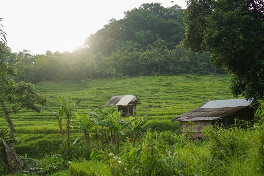 a couple of buildings in a field