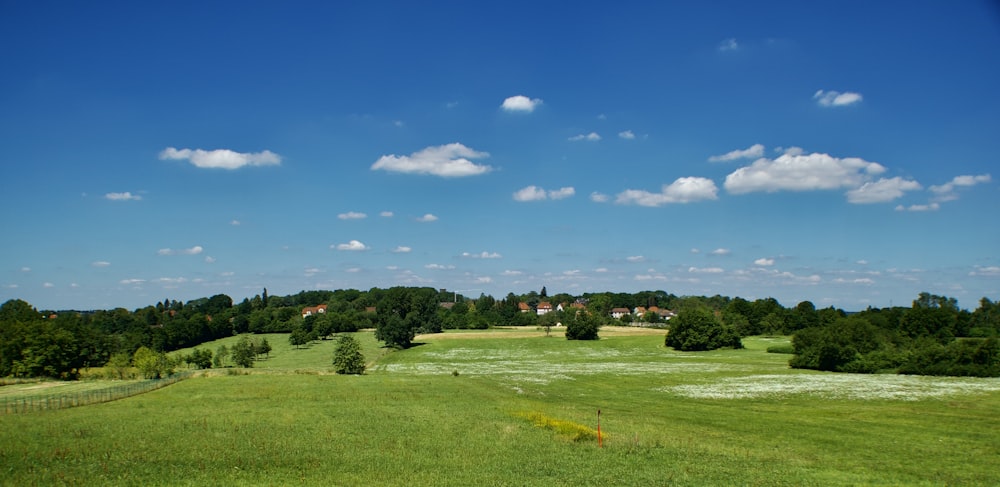 a green field with trees and houses in the background