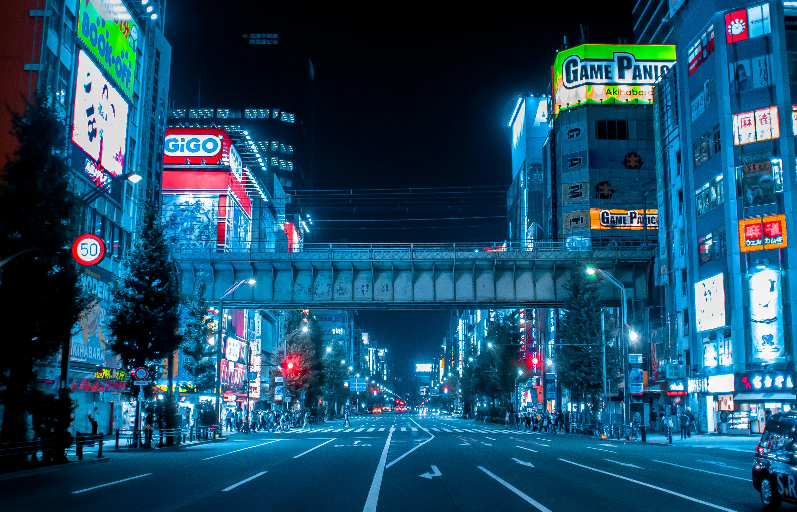 Akihabara street view at night neon signs