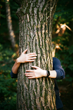 a person touching a tree trunk