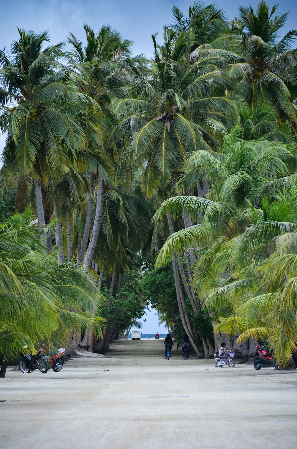 Eine Gruppe von Menschen, die an einem Strand mit Palmen spazieren gehen