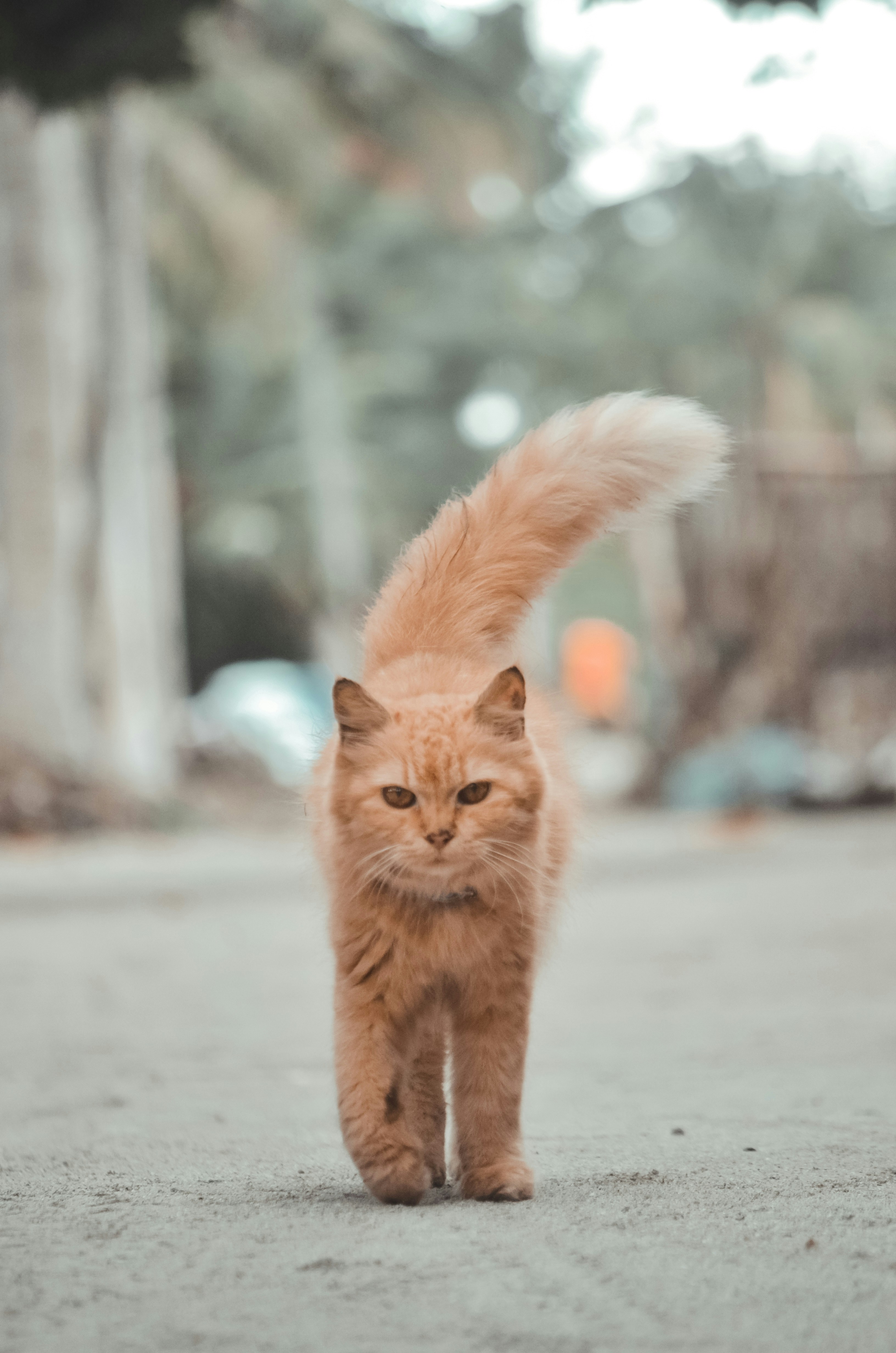 Tracking the Untraceable (image credits: unsplash)