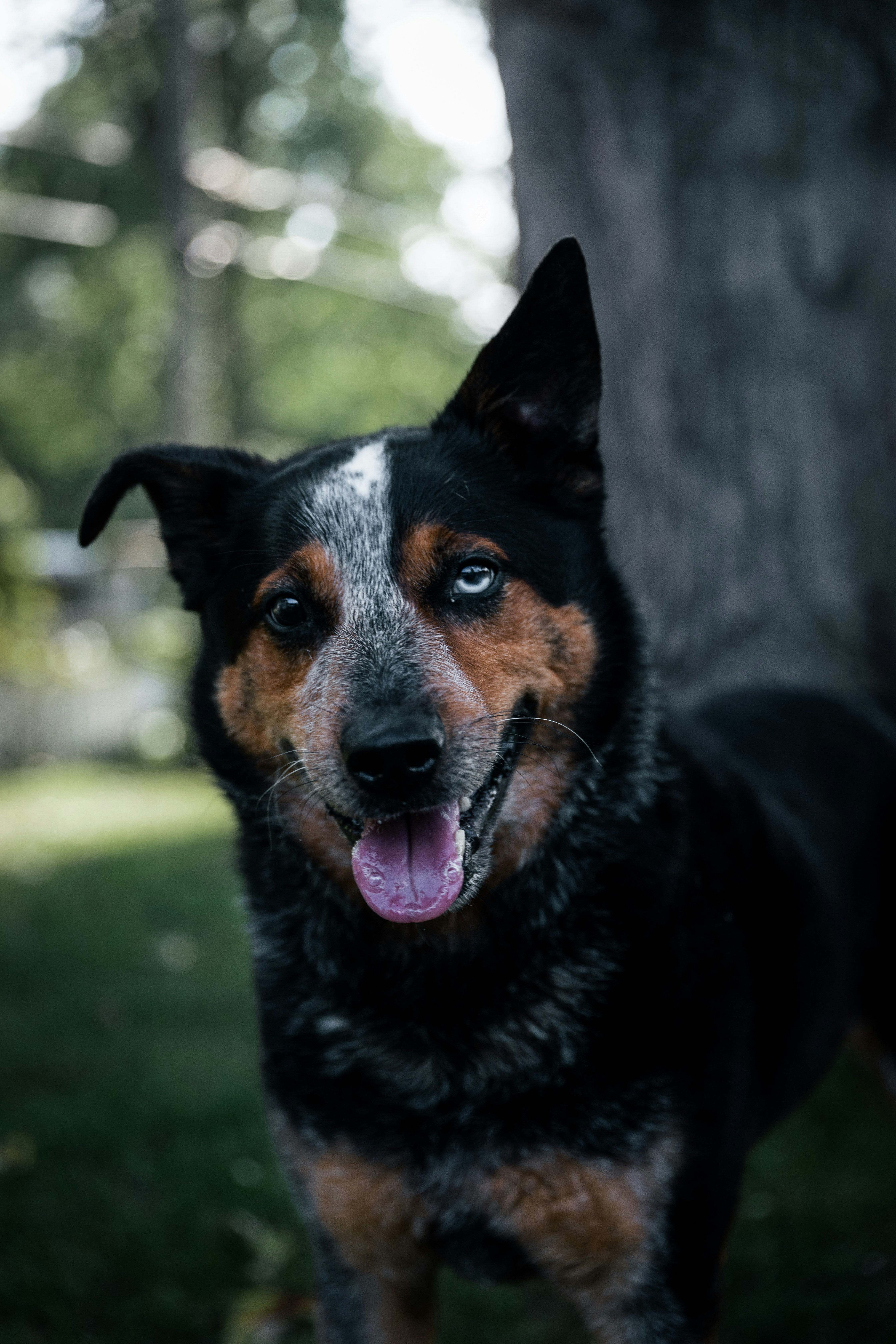 Photo by danny_lincoln