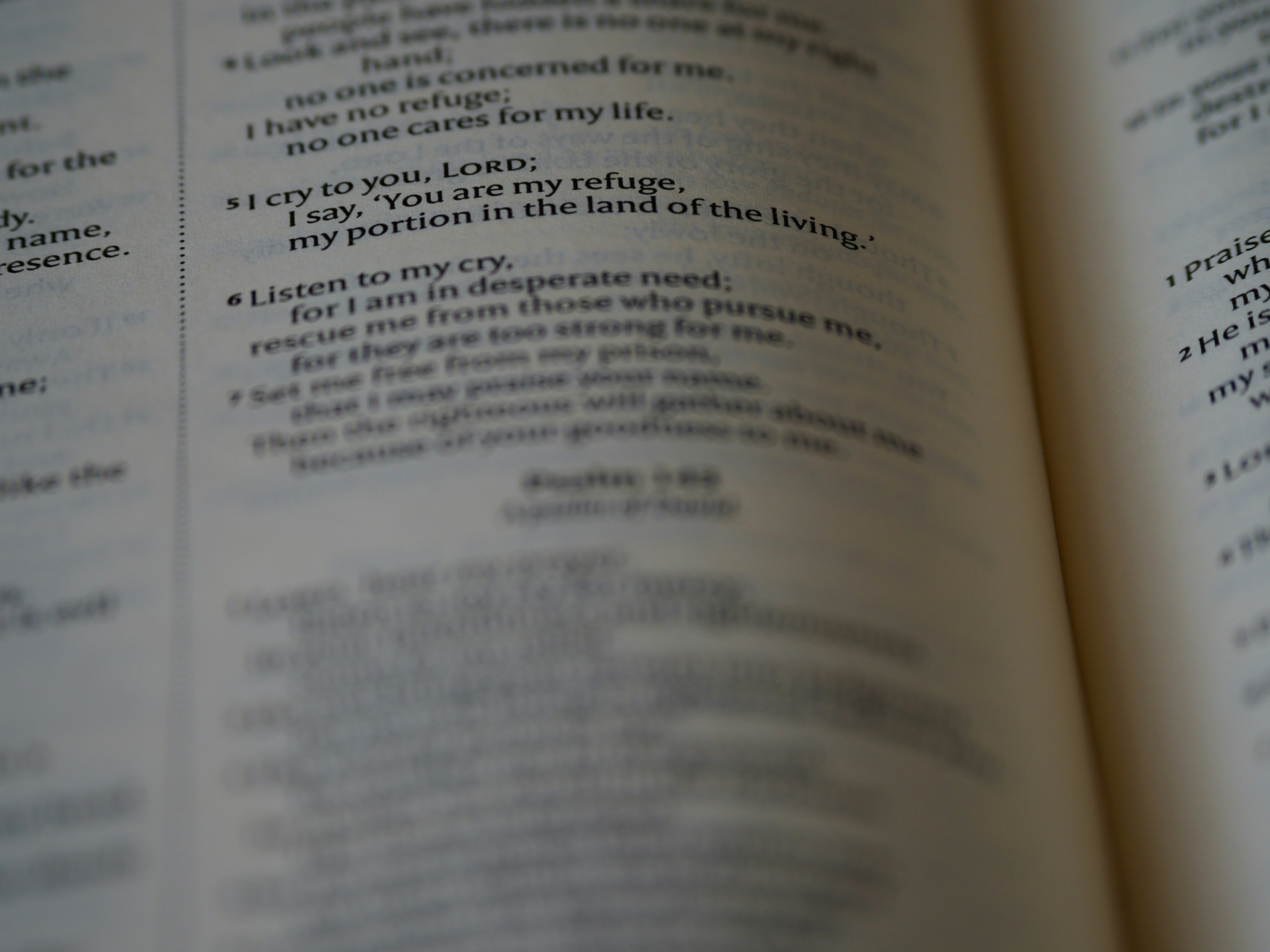 Photo by brett_jordan