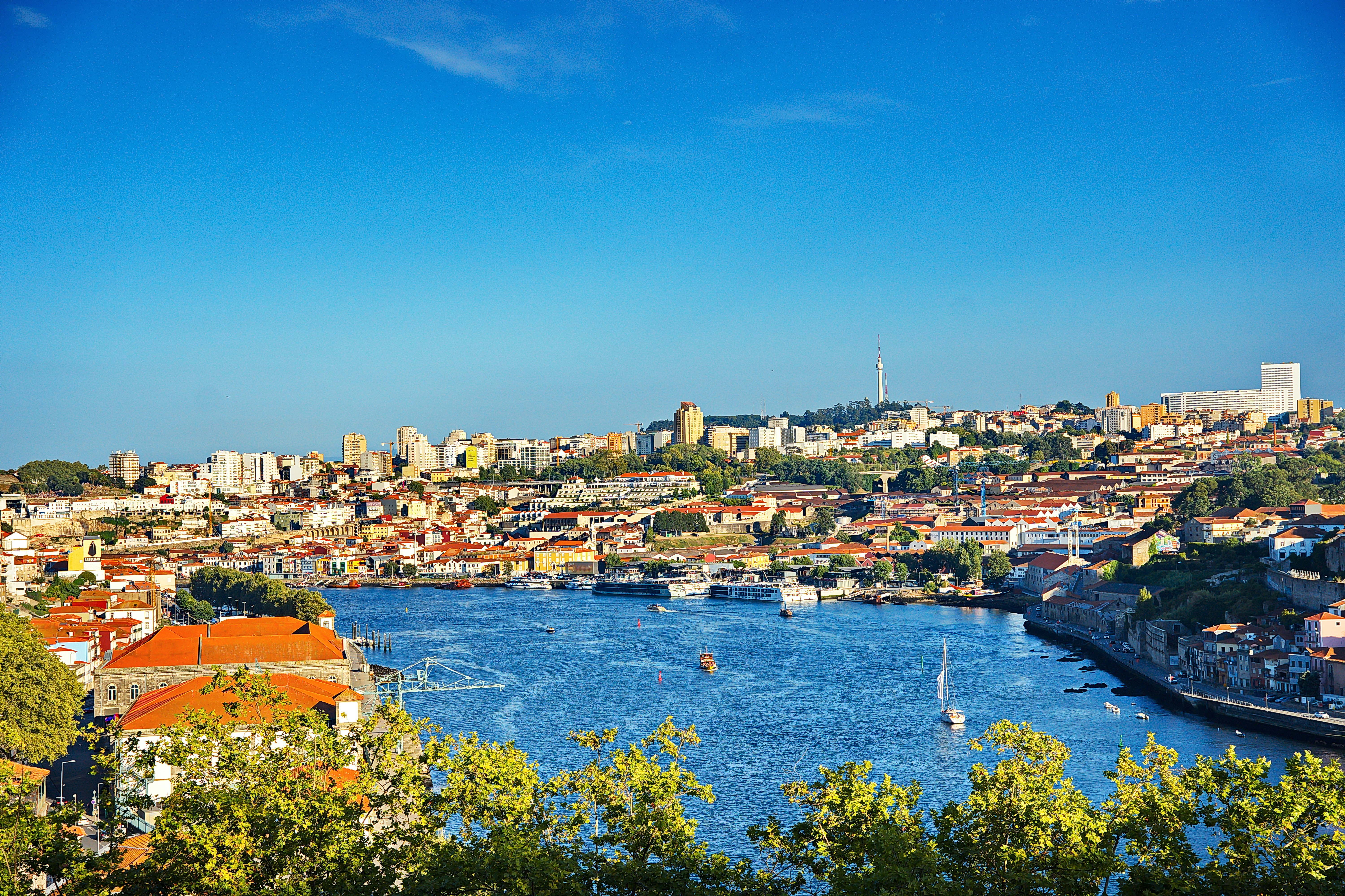 Photo by deanmilenkovic