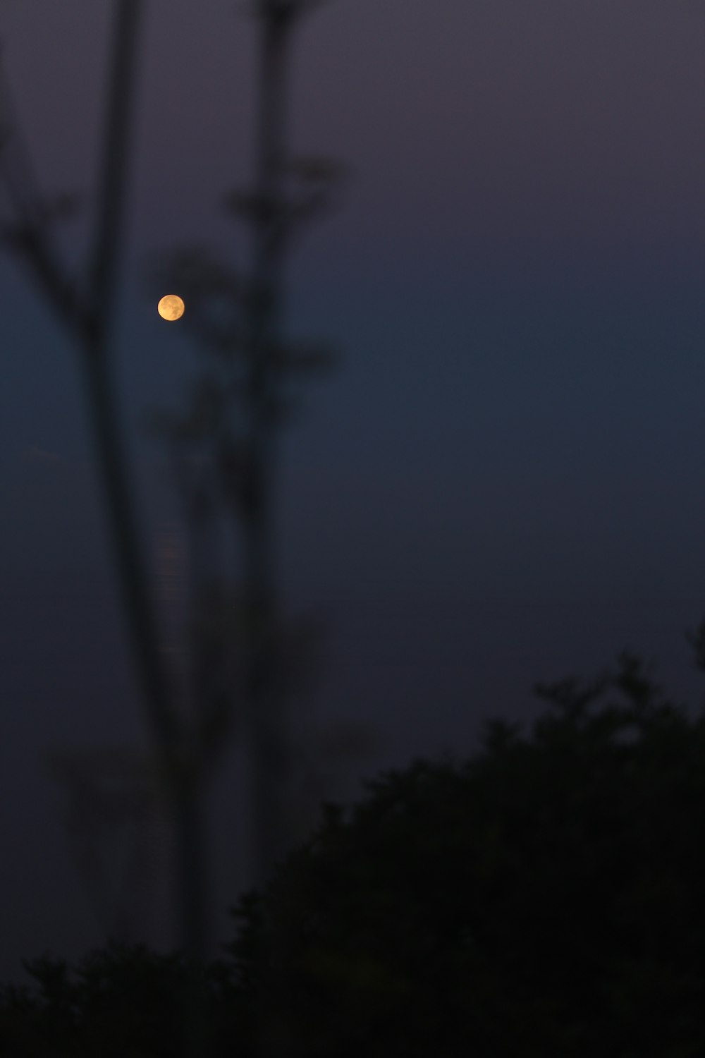 a street light at night