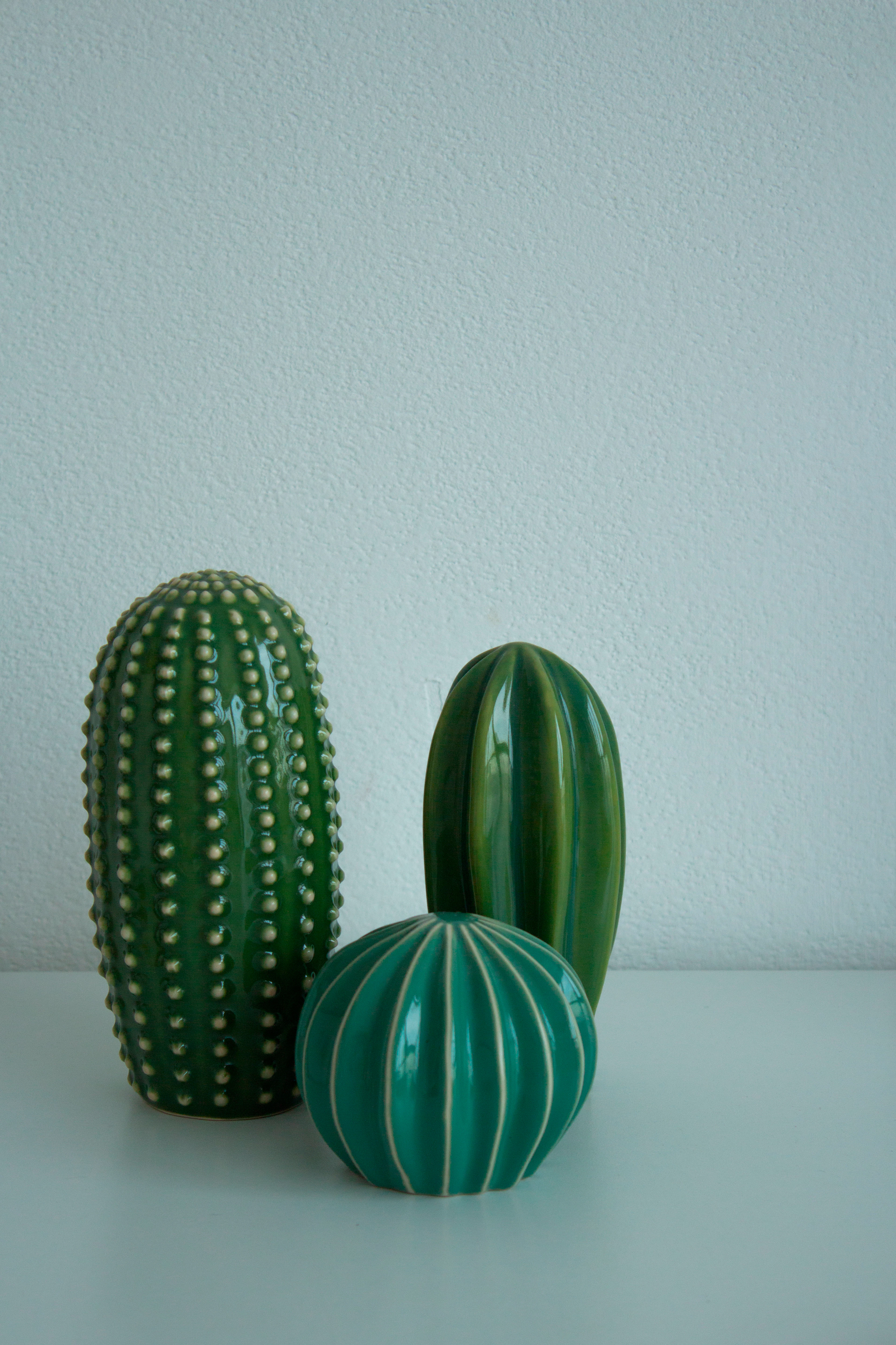 Cactus Trio
