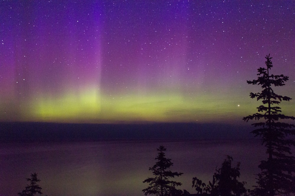 Eine grüne und violette Aurora am Himmel über einem See