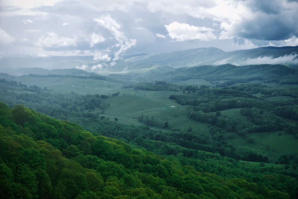 a landscape with trees and hills