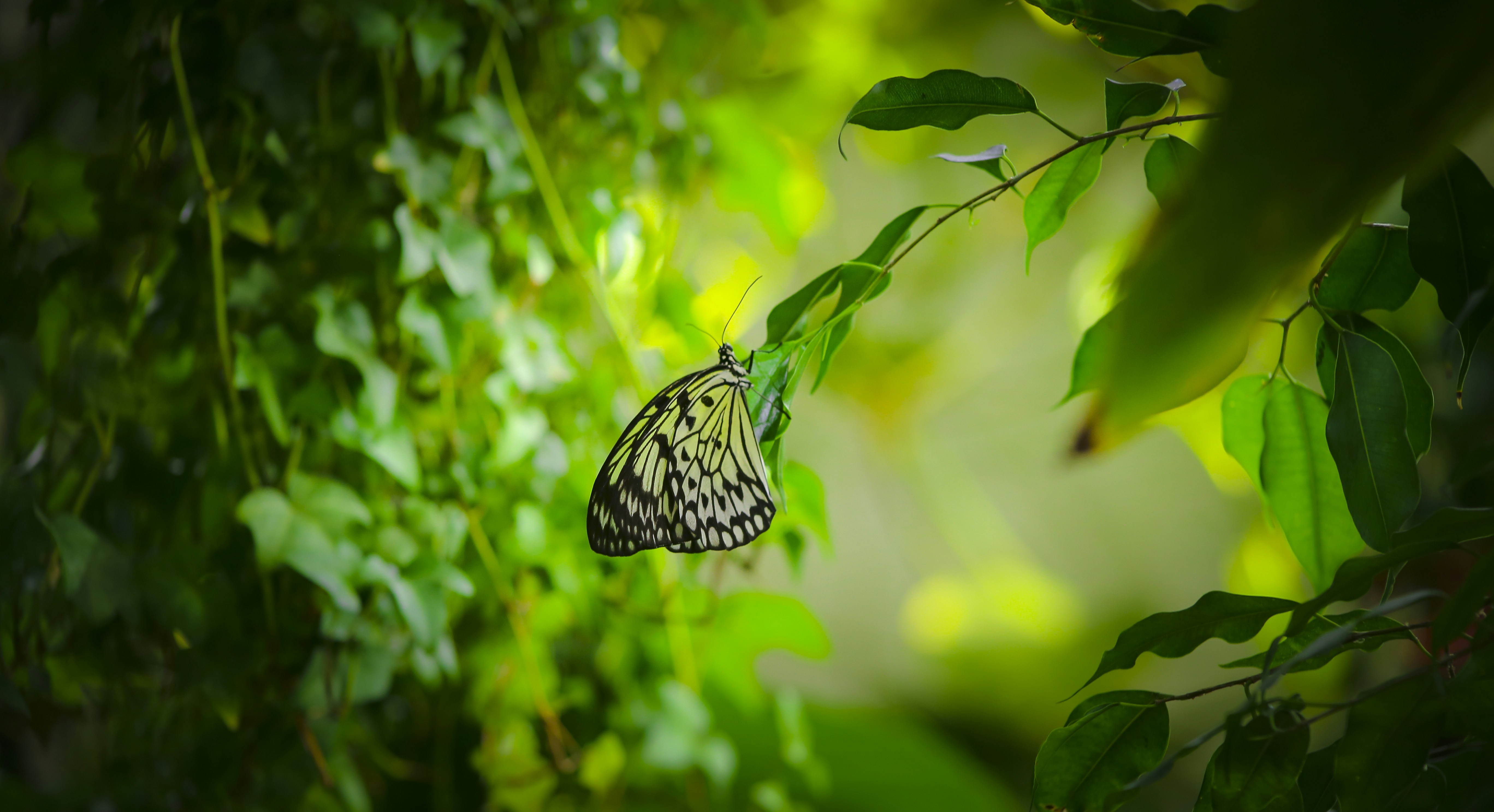 Photo by ranjithrenju