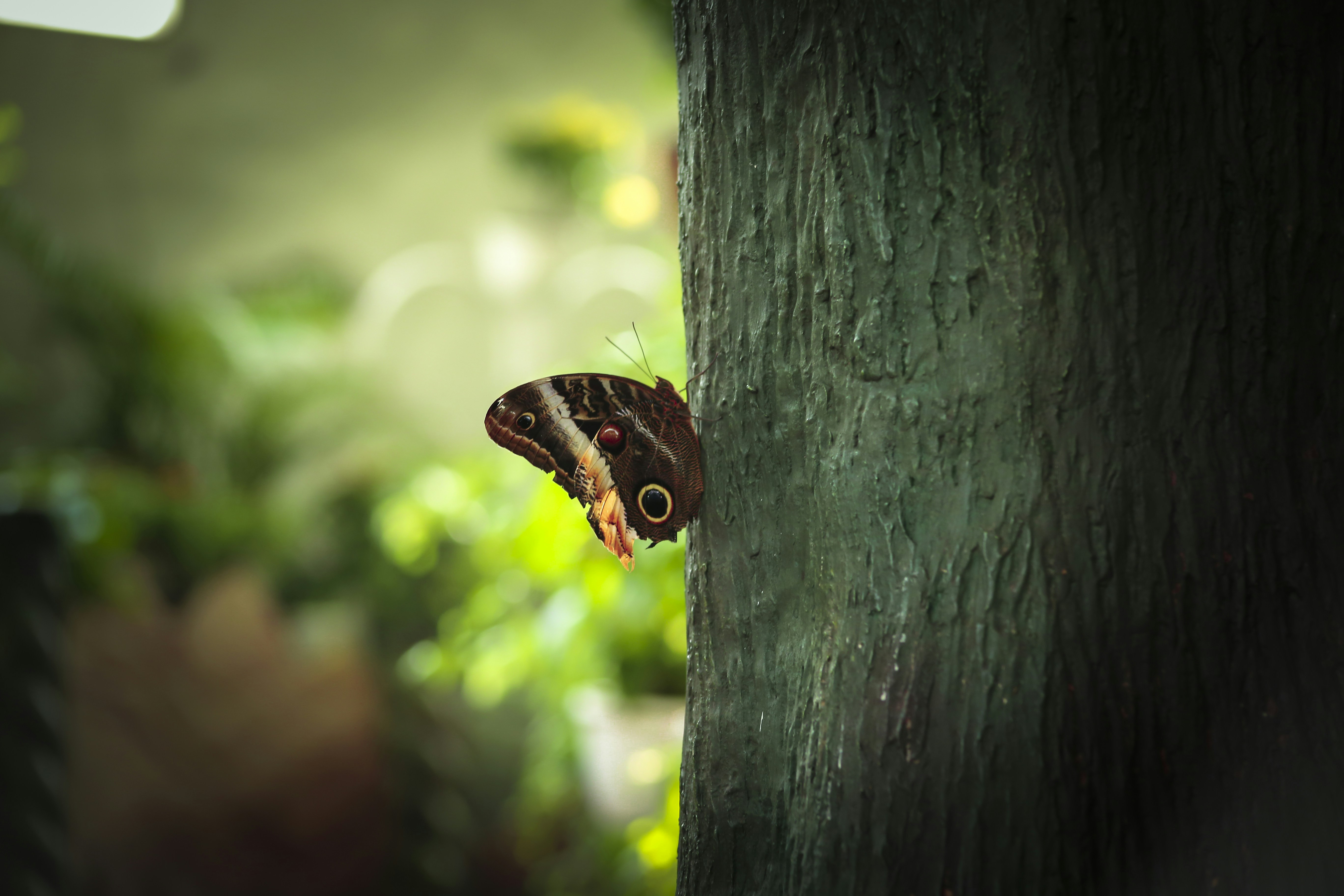 Photo by ranjithrenju