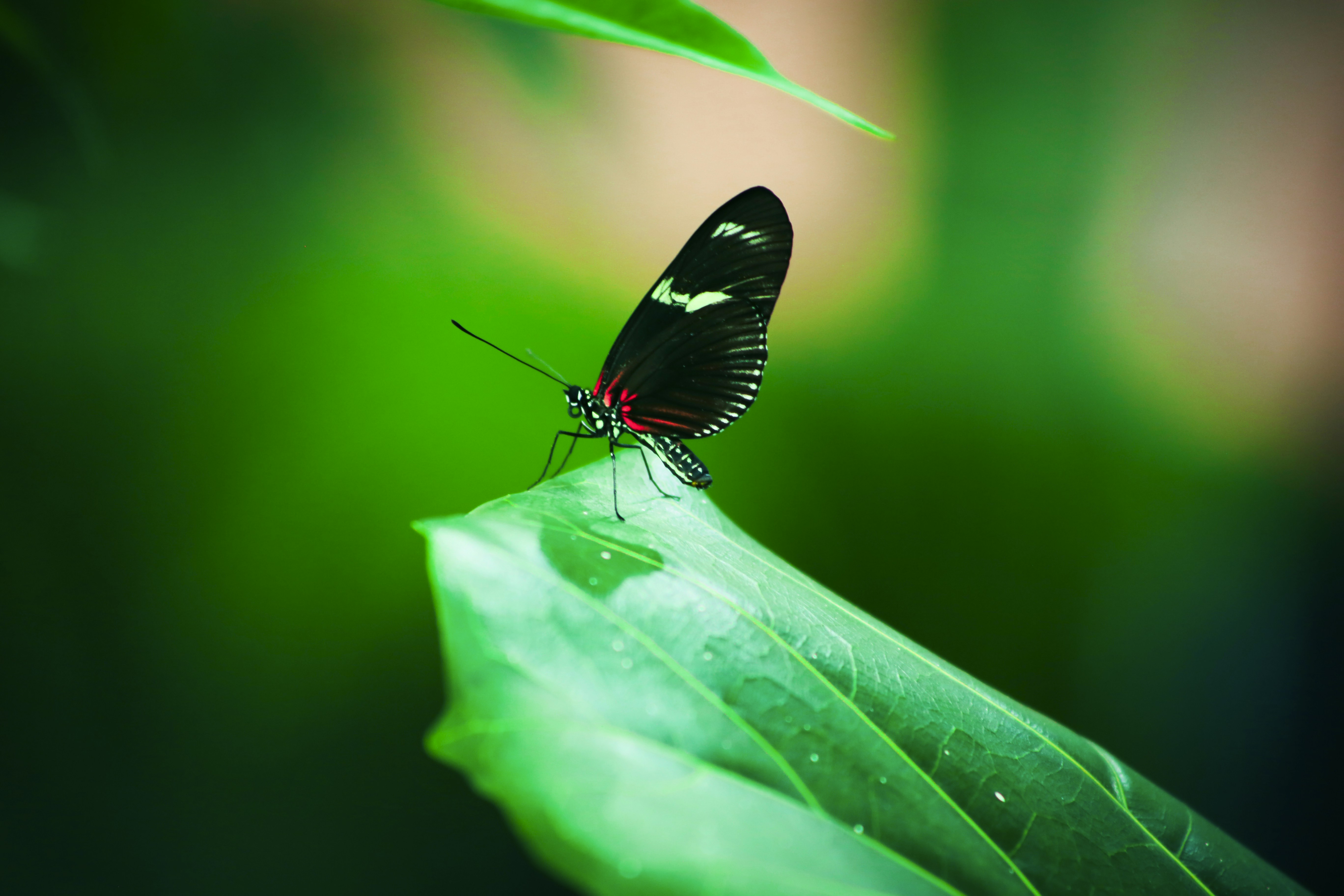 Photo by ranjithrenju