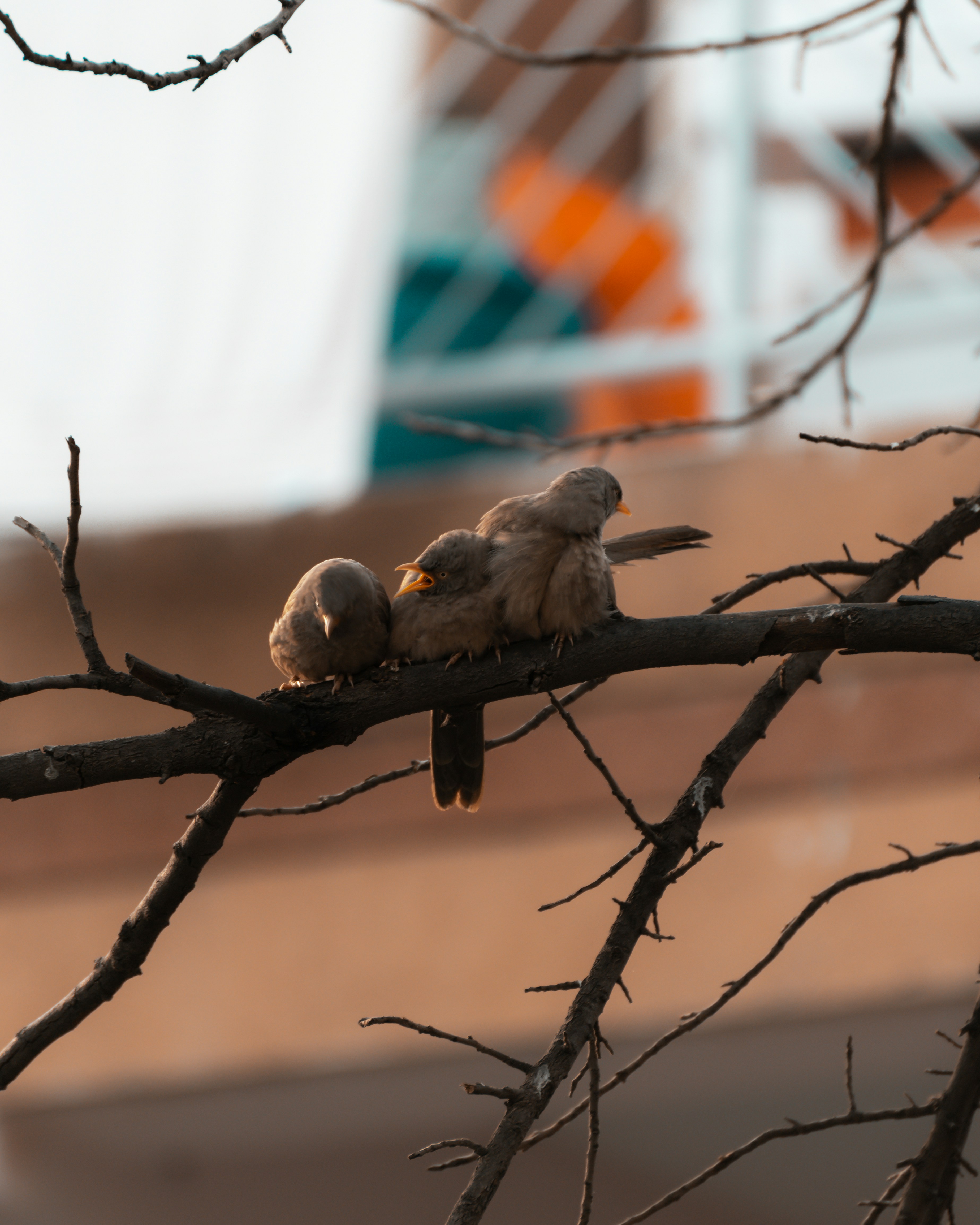 Photo by monajain