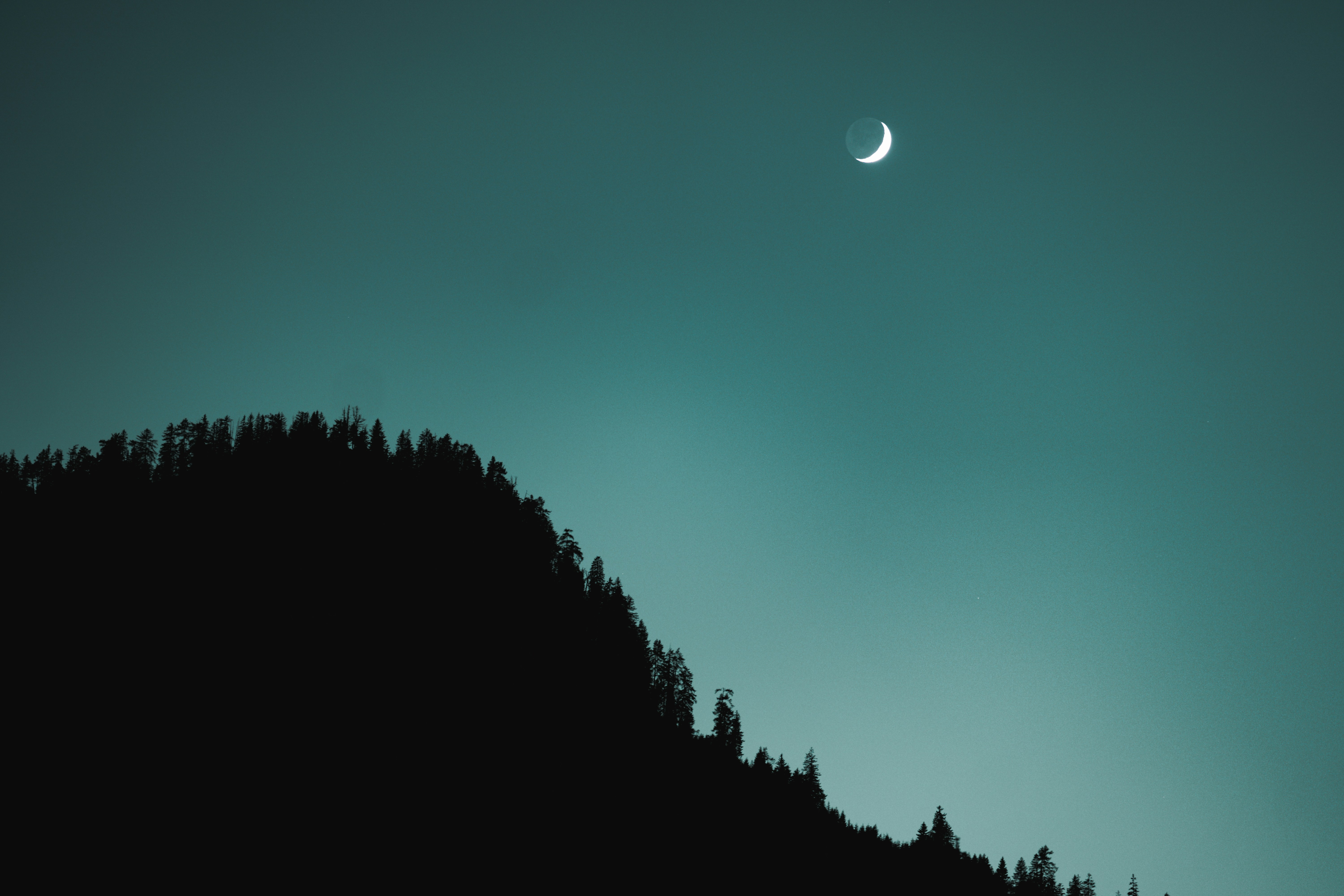 Photo by omarvellous14