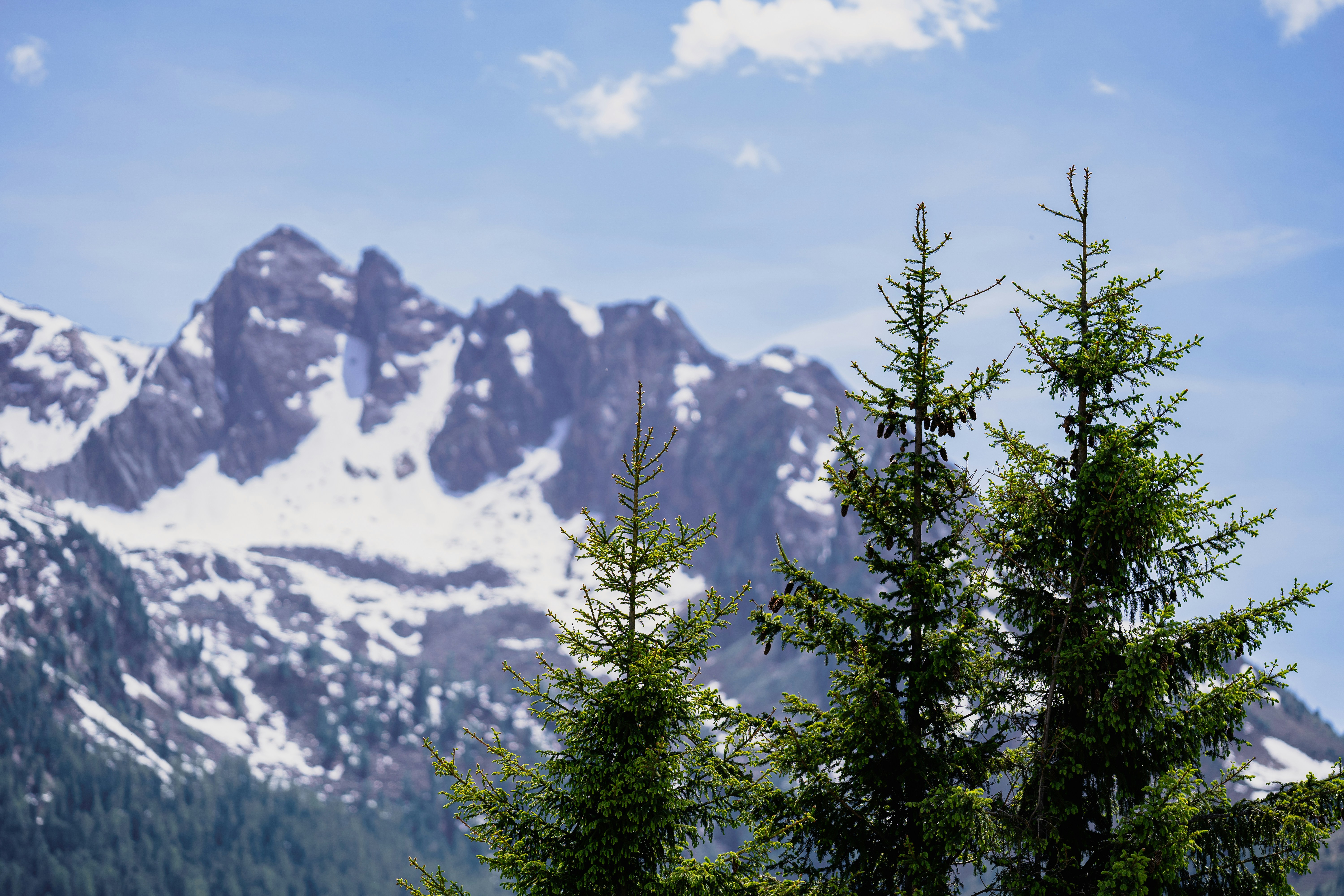 Photo by omarvellous14