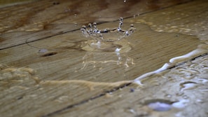 a spider on a wood surface