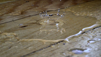 a spider on a wood surface