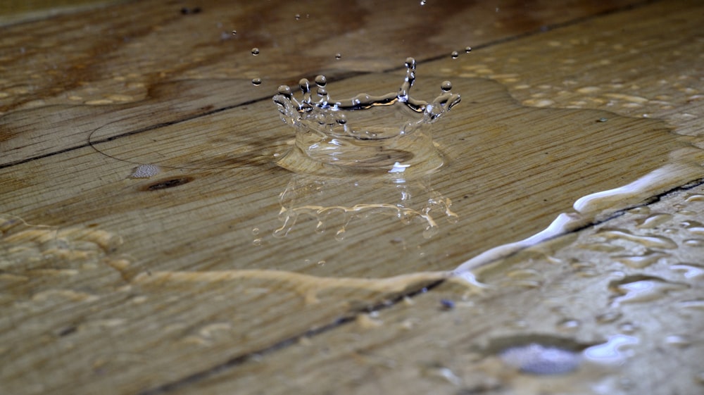 a spider on a wood surface