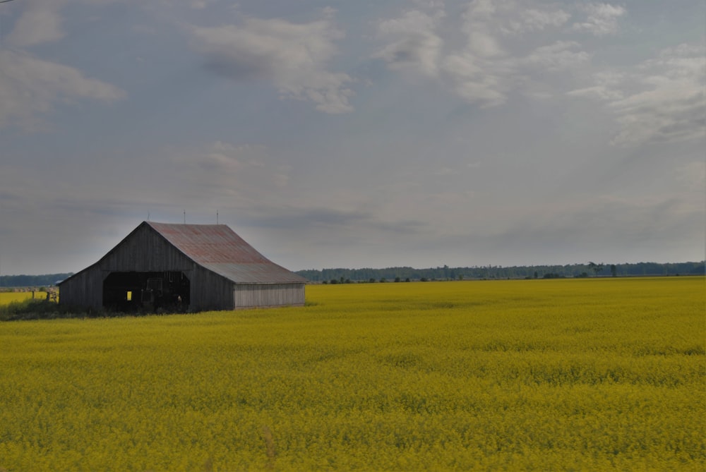 a barn in a field