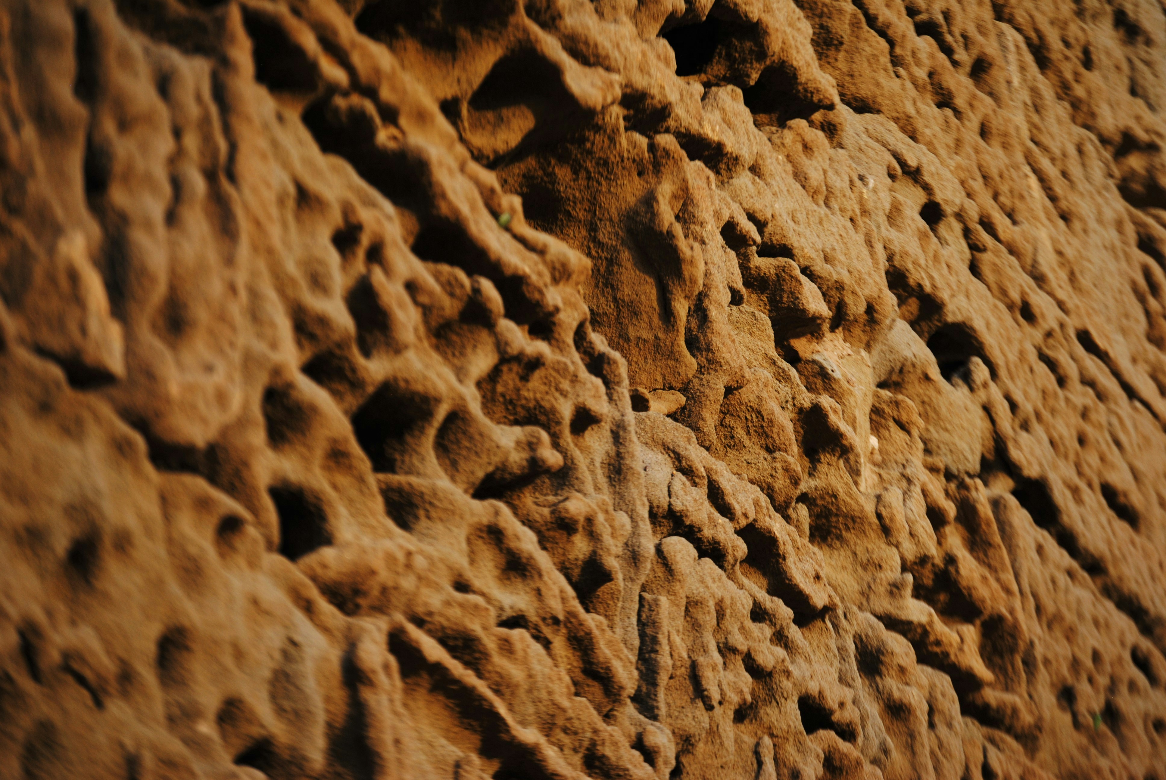 Terracotta texture close-up