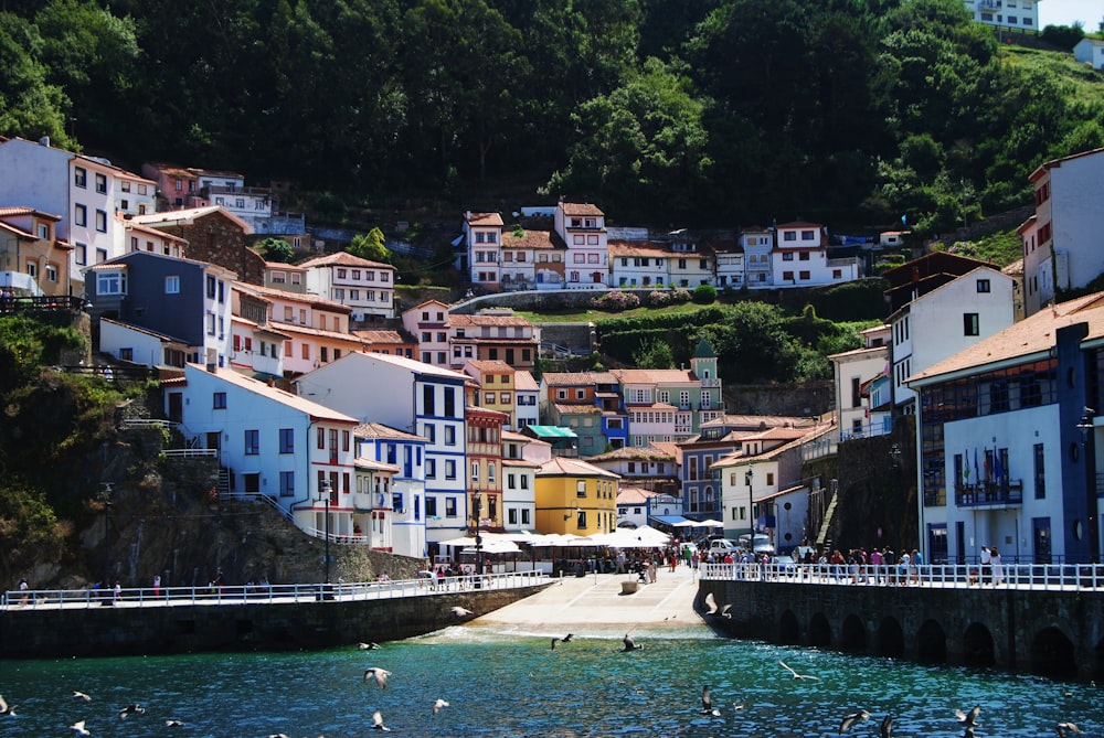 a group of buildings next to a body of water