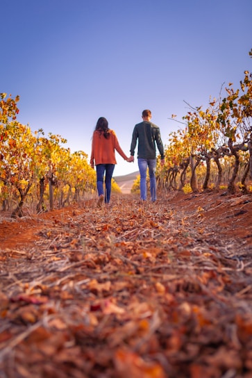 a man and woman walking on a path in a field of leaves