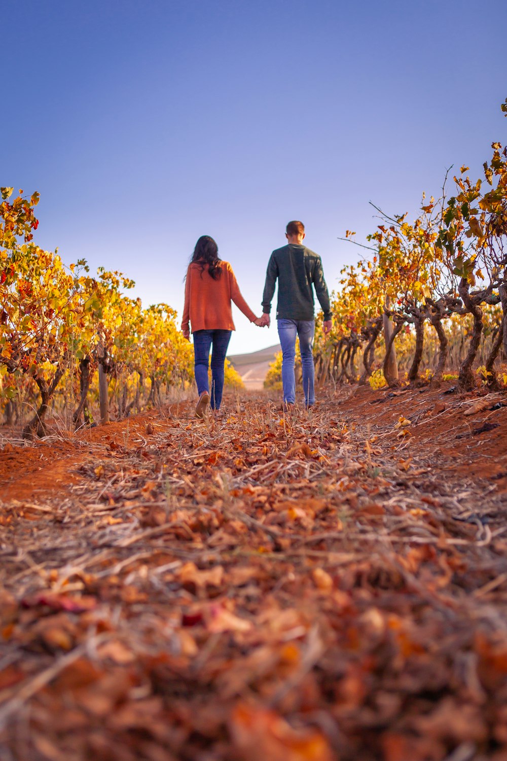 a man and woman walking on a path in a field of leaves