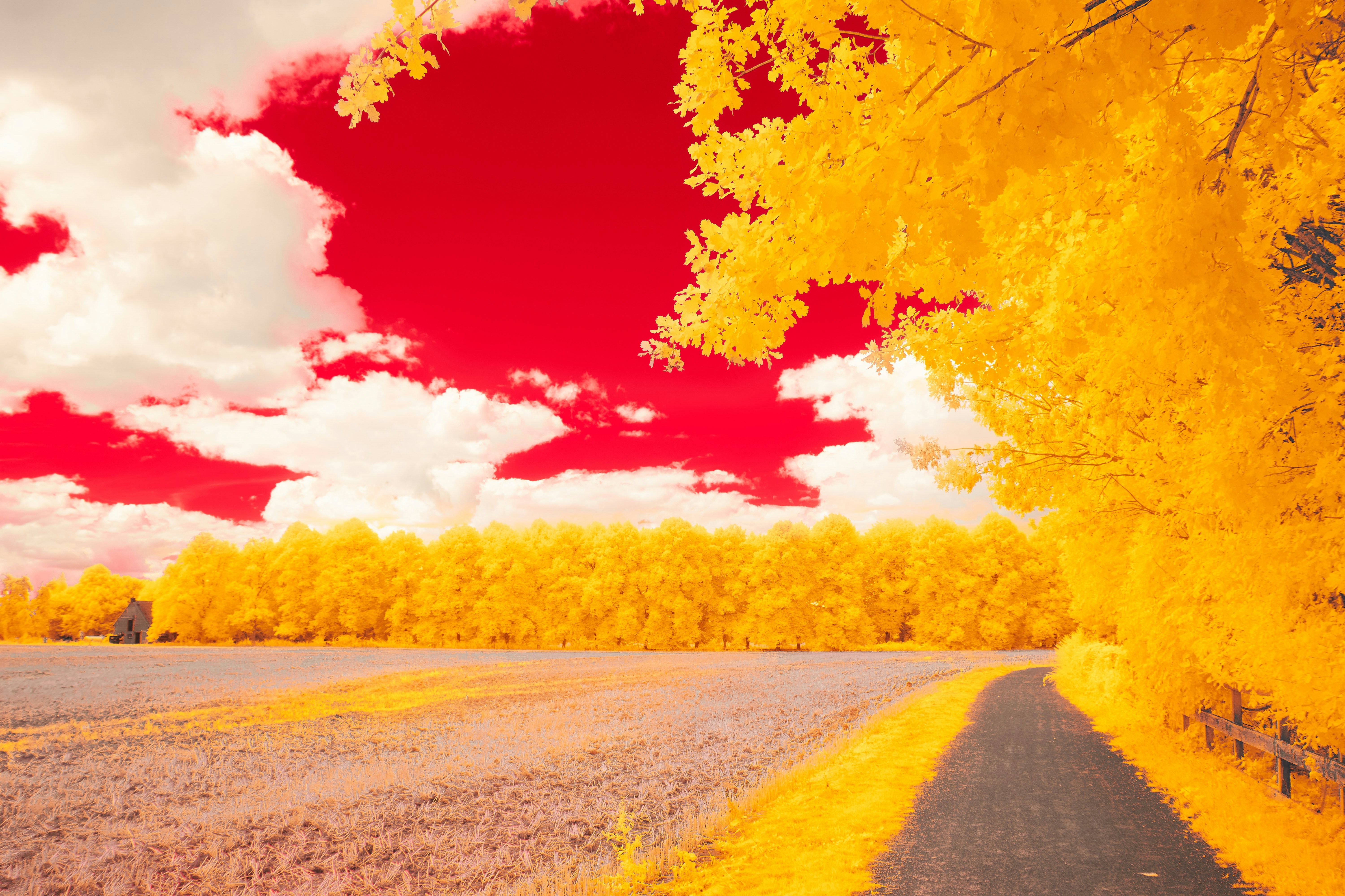 Photo by wolfgang_hasselmann