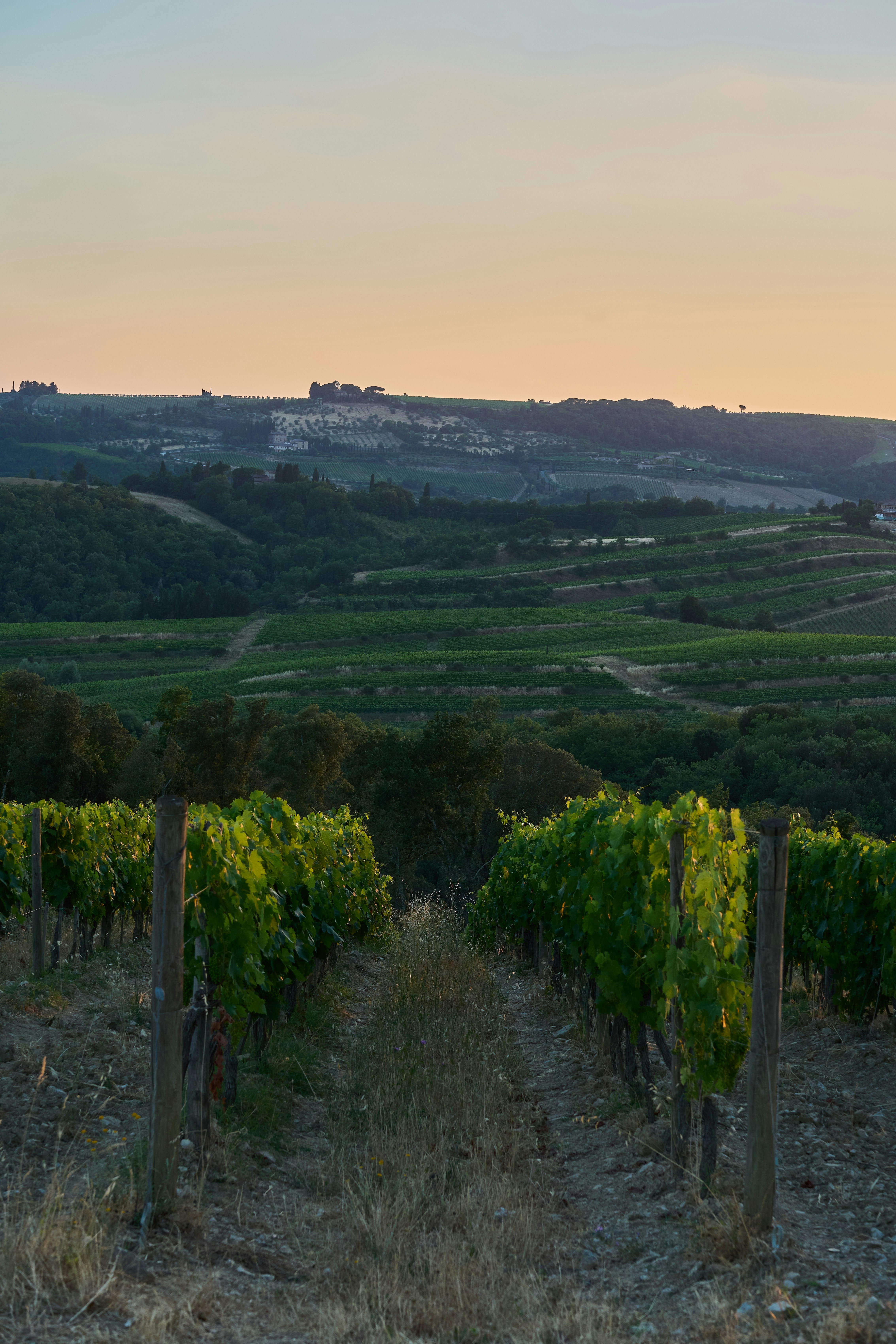 Photo by wolfgang_hasselmann