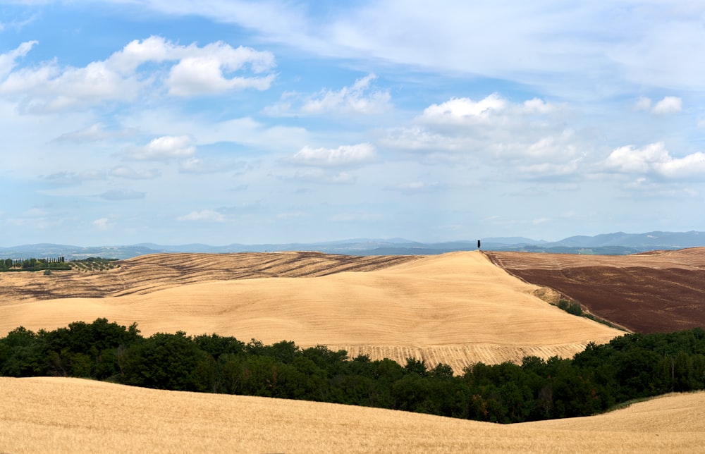 a large sand dune