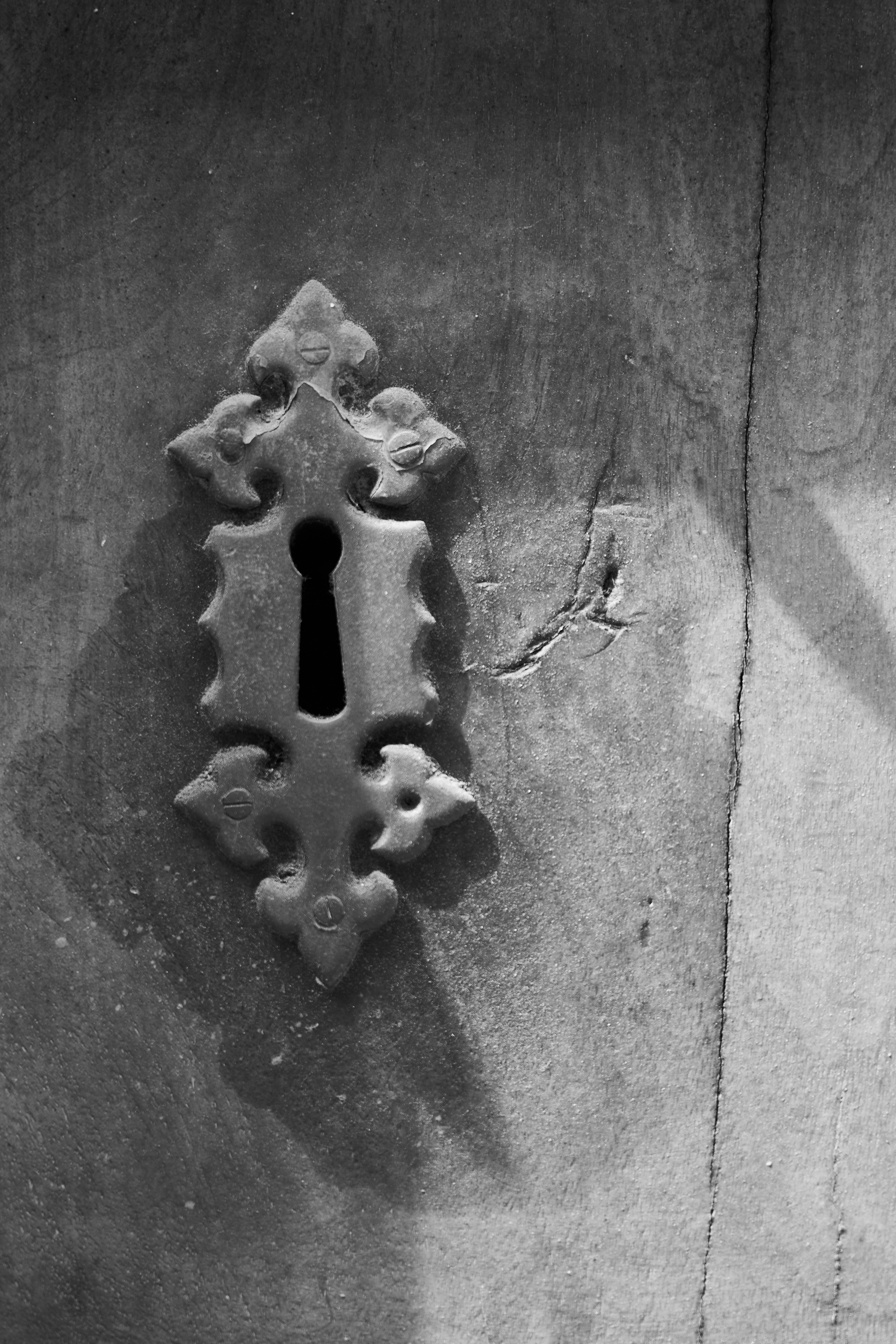 Photo by wolfgang_hasselmann