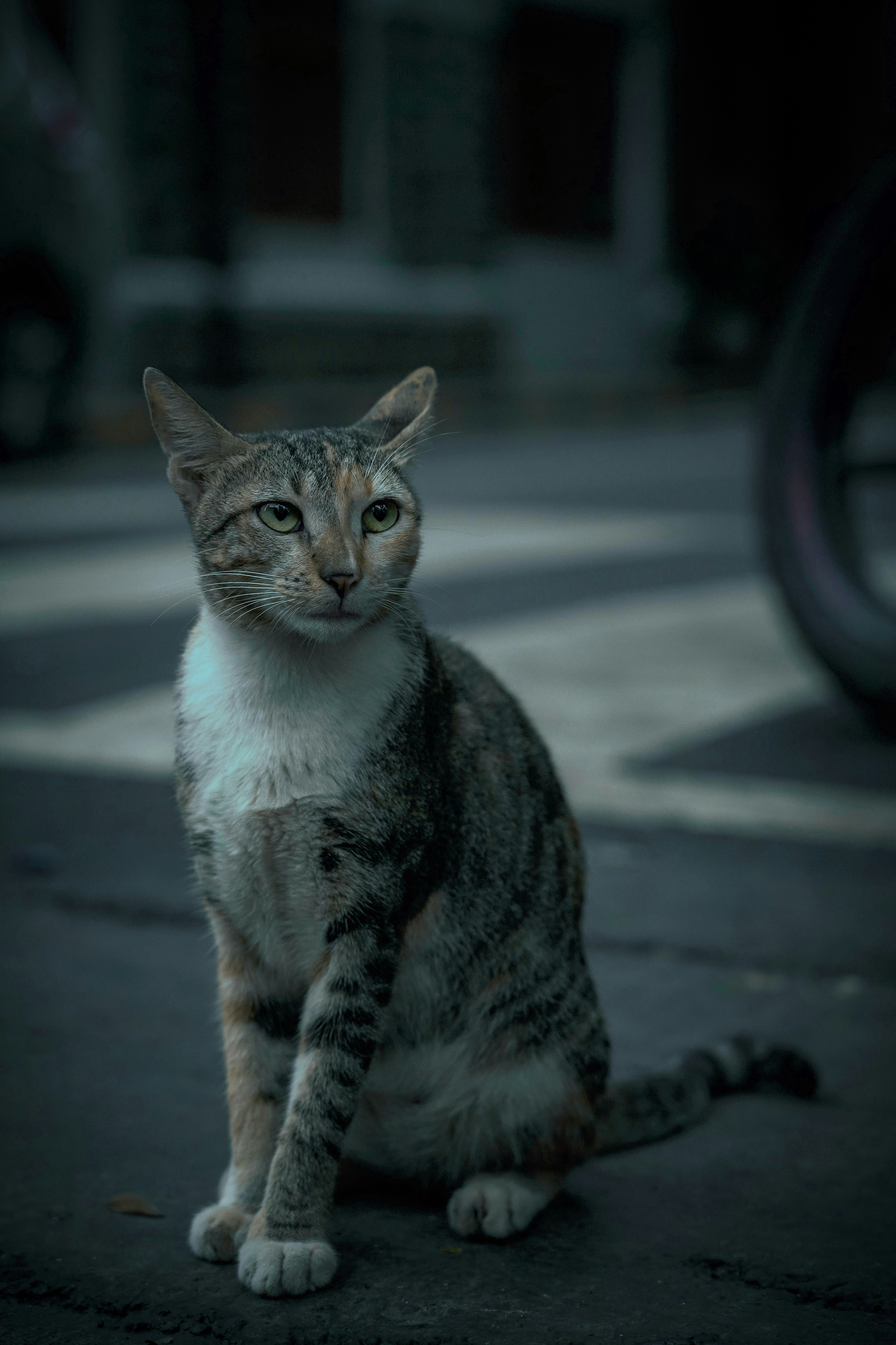 Photo by photogangsta1