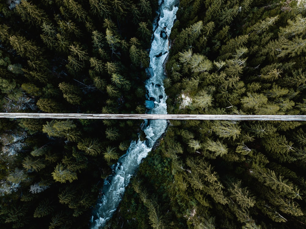 a stream of water with a bridge