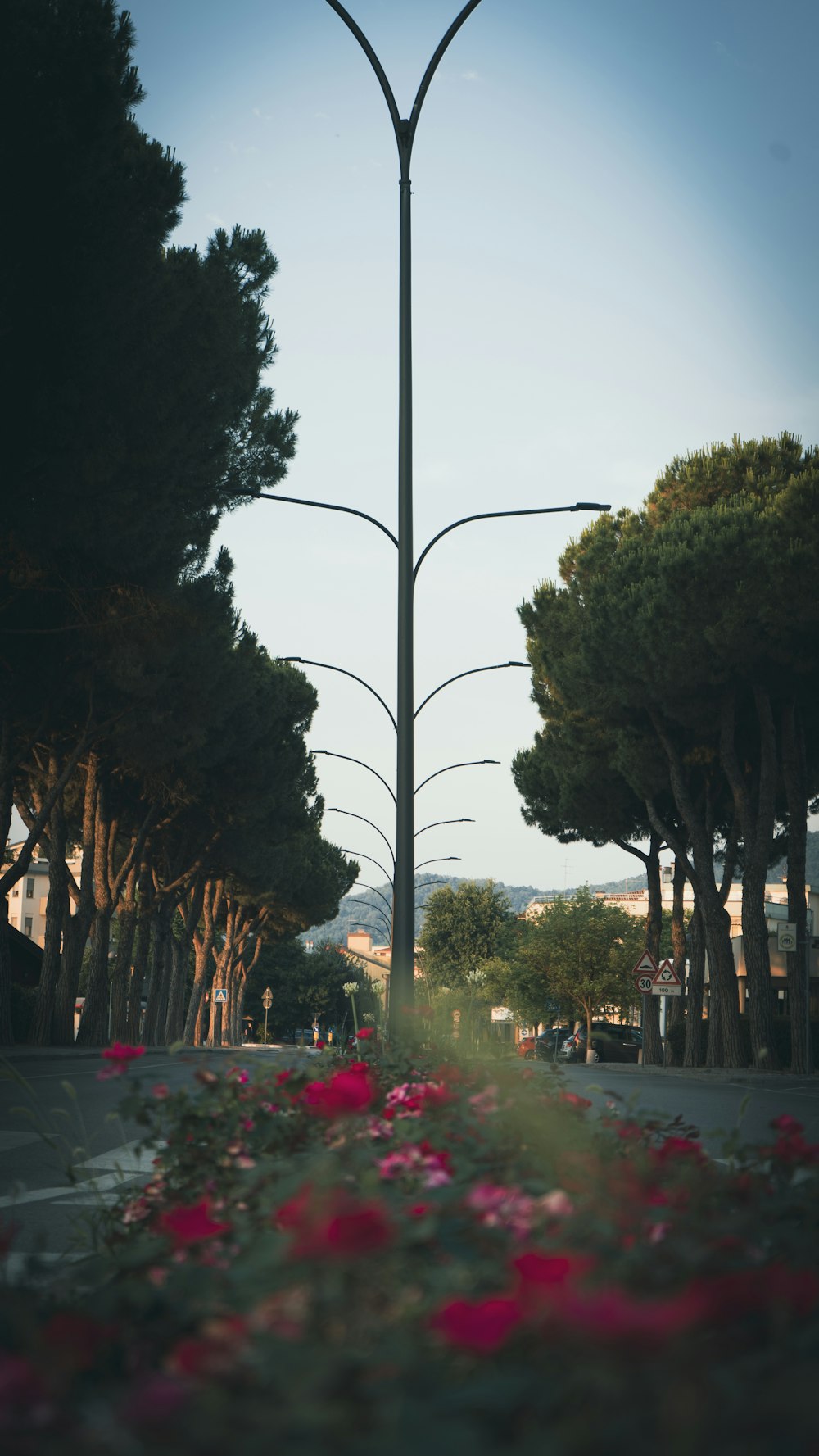 a street light with flowers