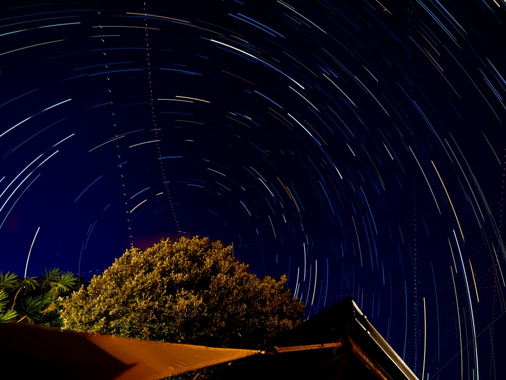 uma árvore com luzes no céu