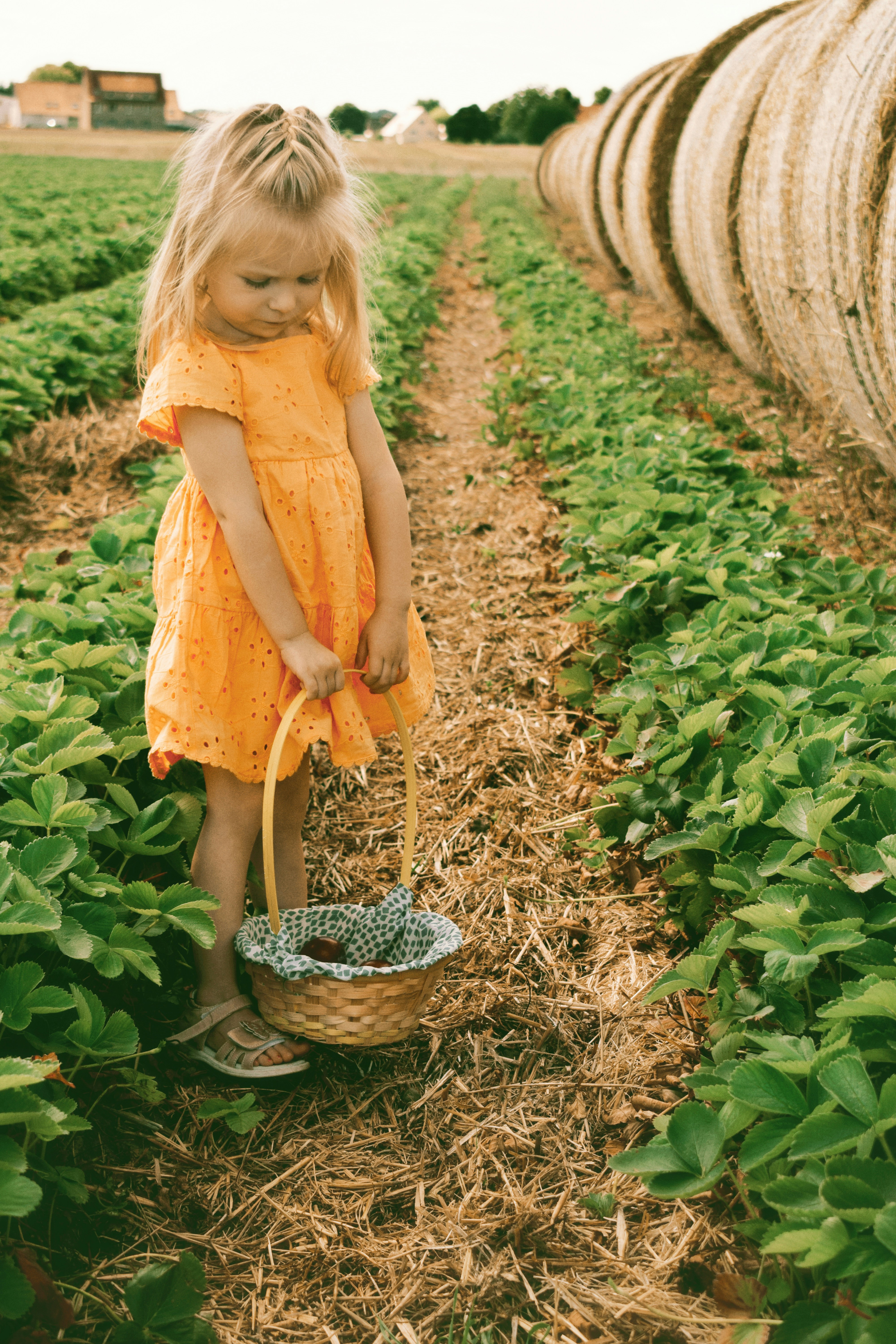 Photo by annaacurcan