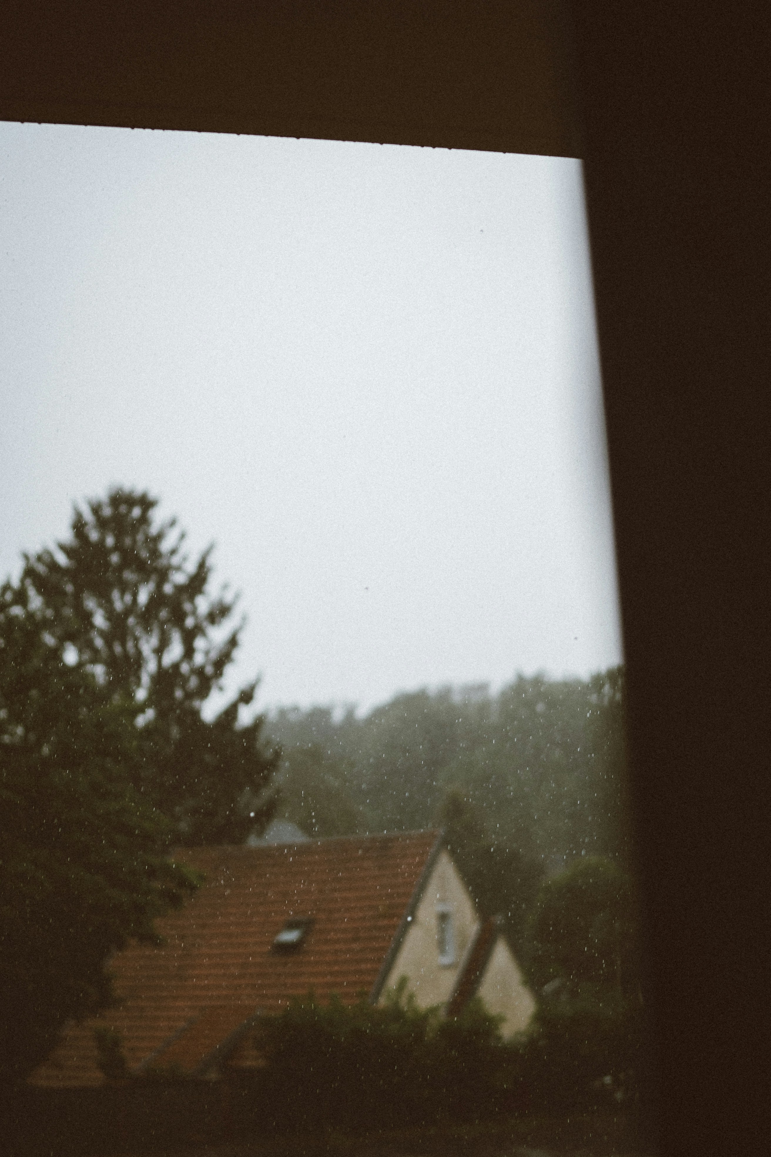 Photo by omarvellous14