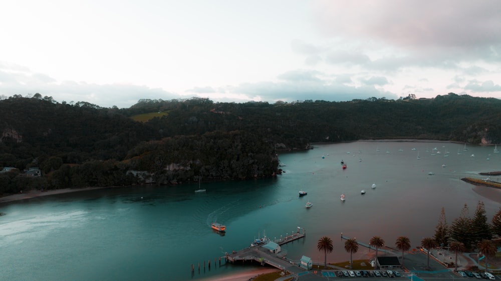 a body of water with boats and trees around it