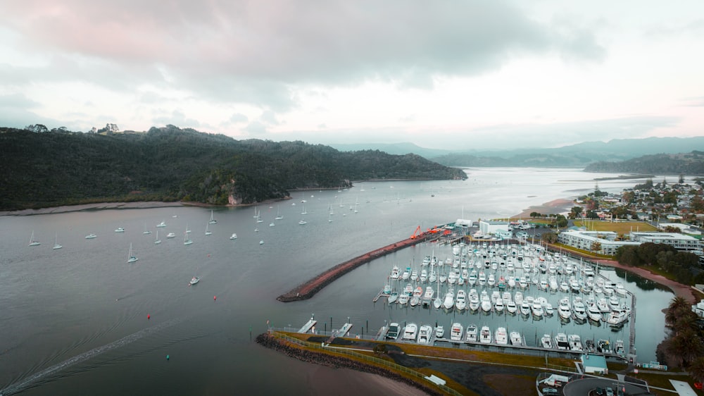 a body of water with boats and a bridge