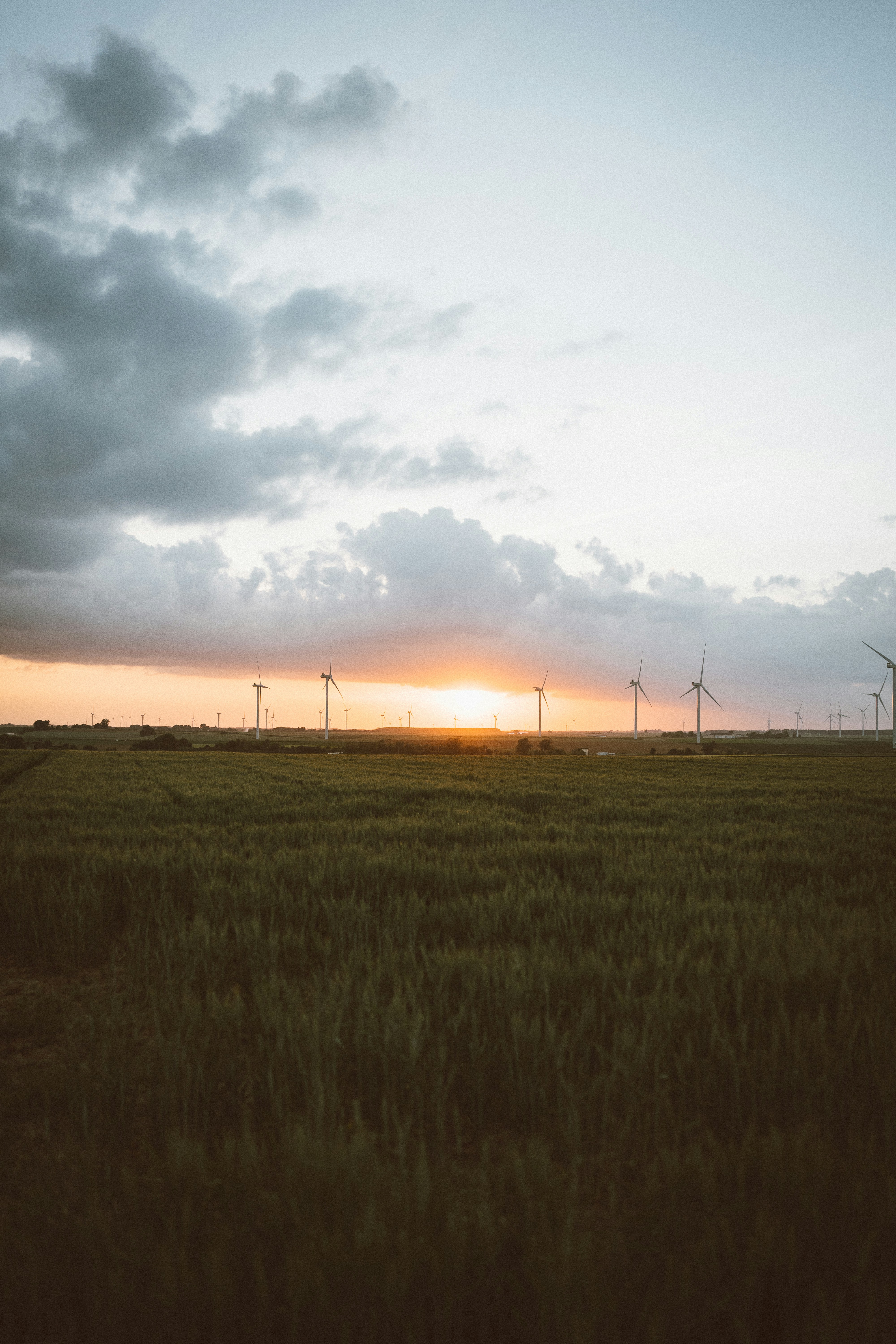 Photo by omarvellous14