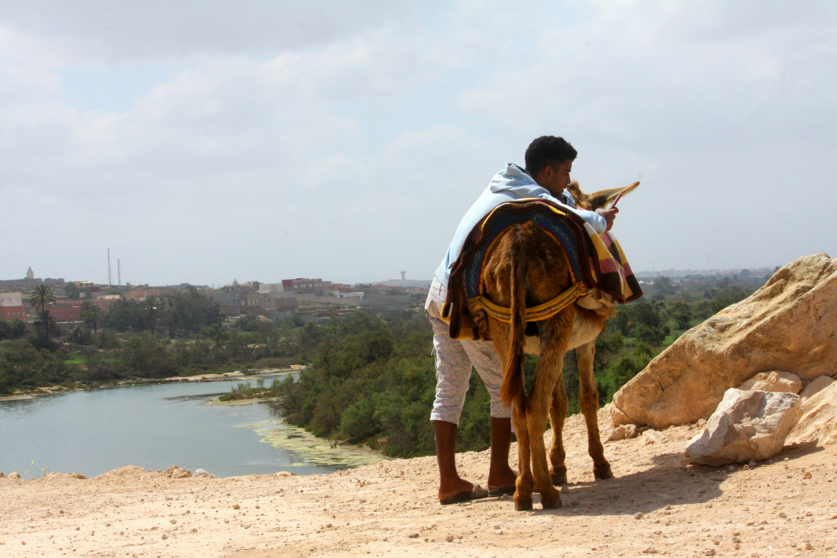 a man riding a camel