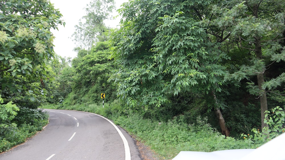 a road with trees on the side