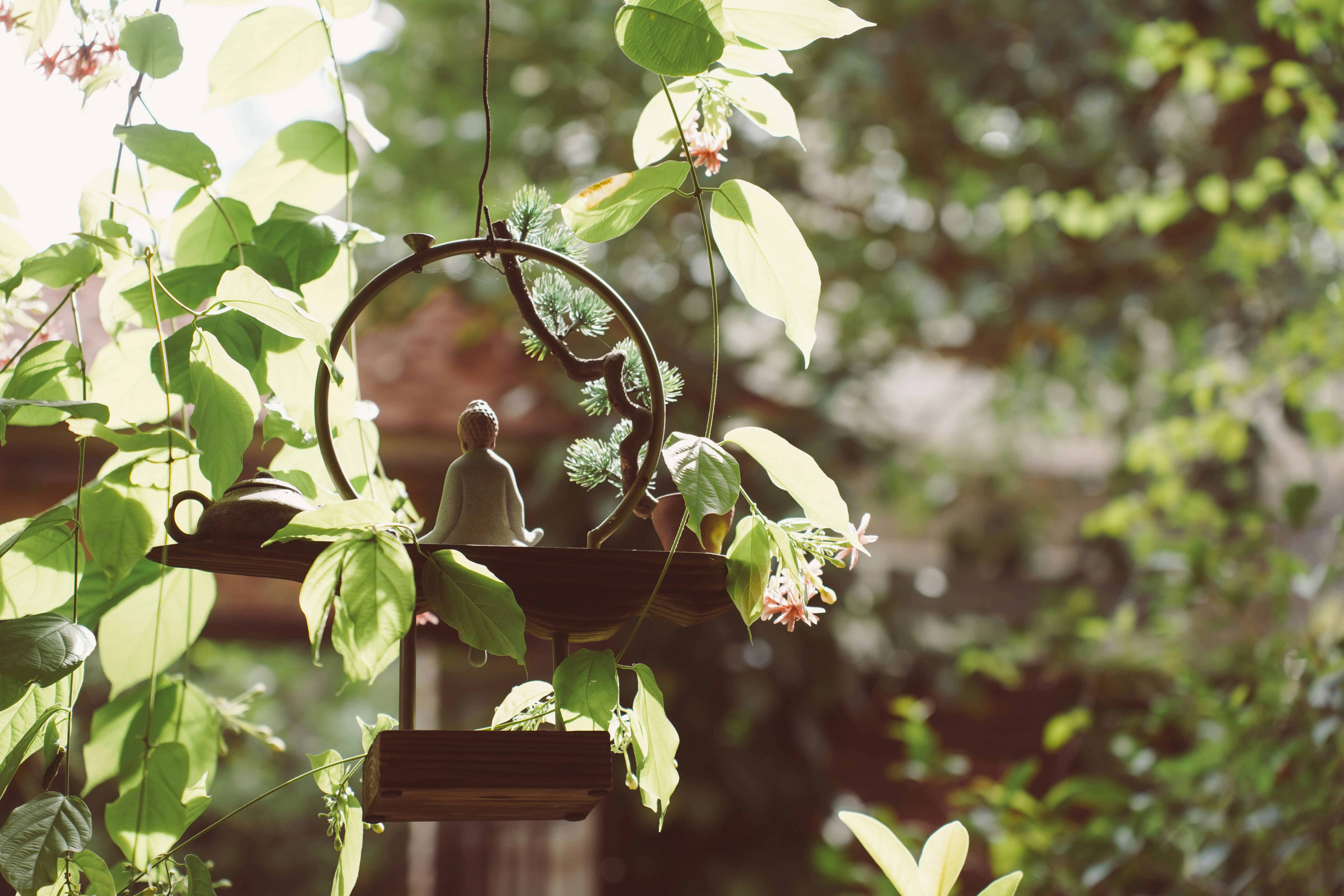 Photo by hoianphotographer