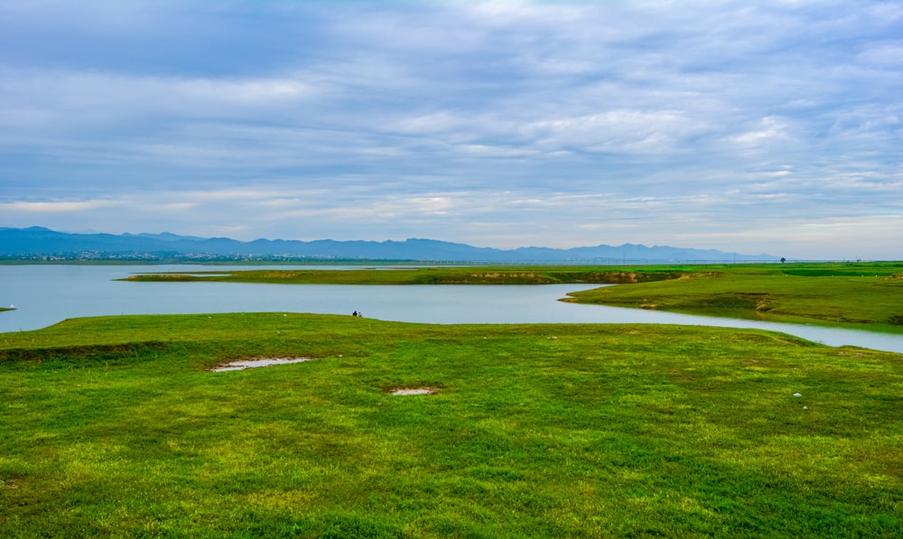 a grassy area with a body of water in the background