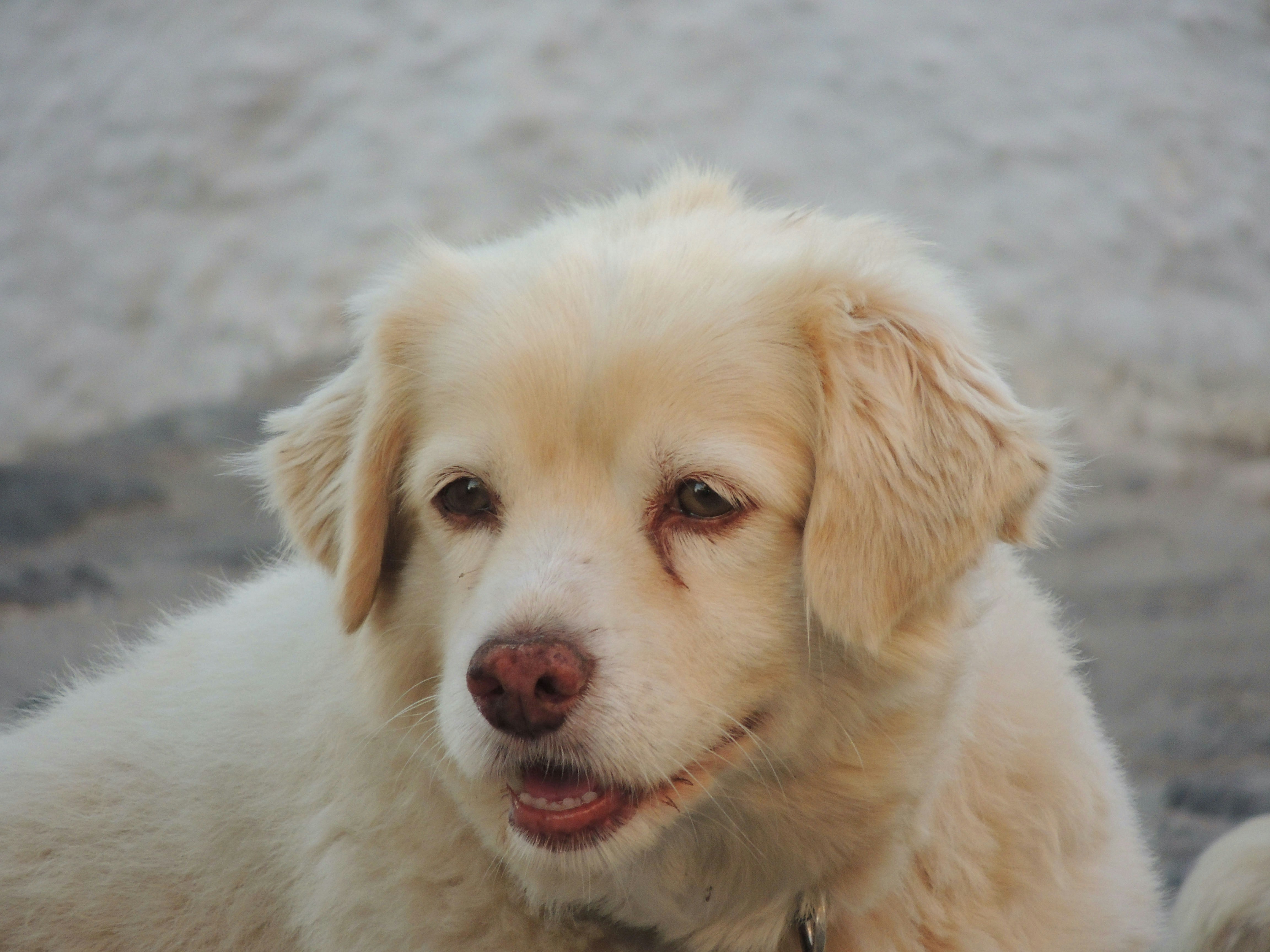 Photo by marzin_corentin