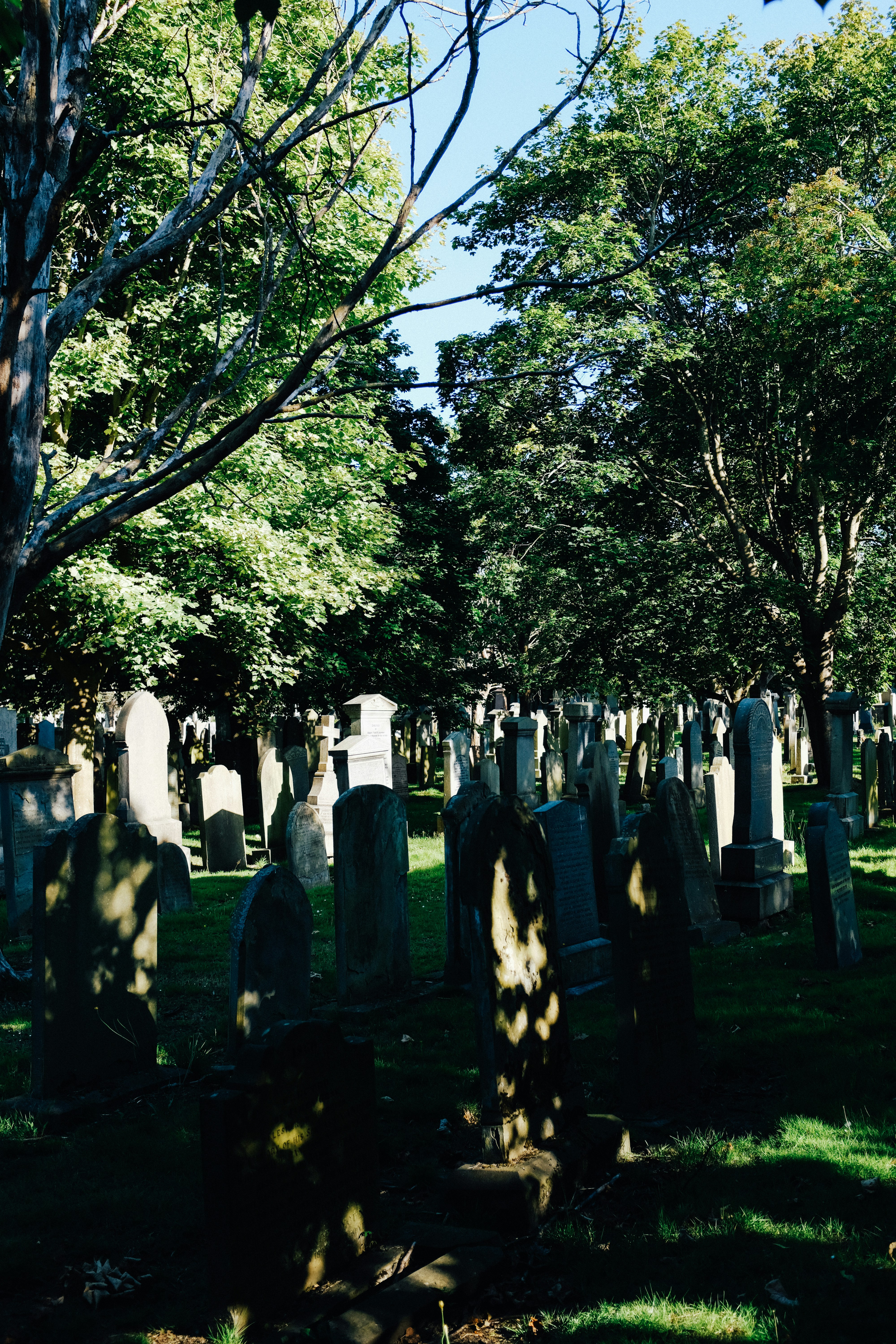 Photo by adrienolichon