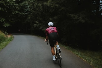a person riding a bicycle on a road with trees on either side