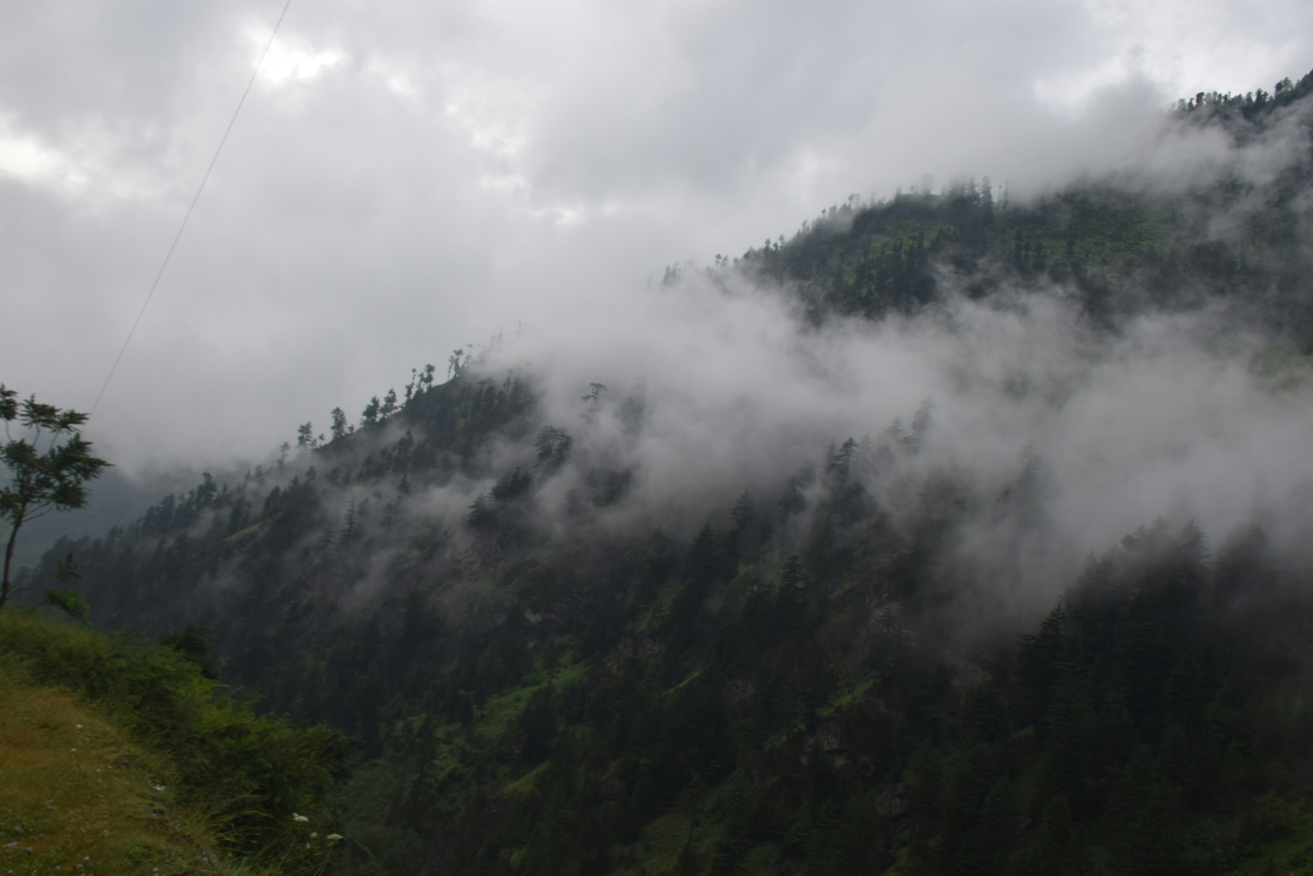 a foggy mountain side