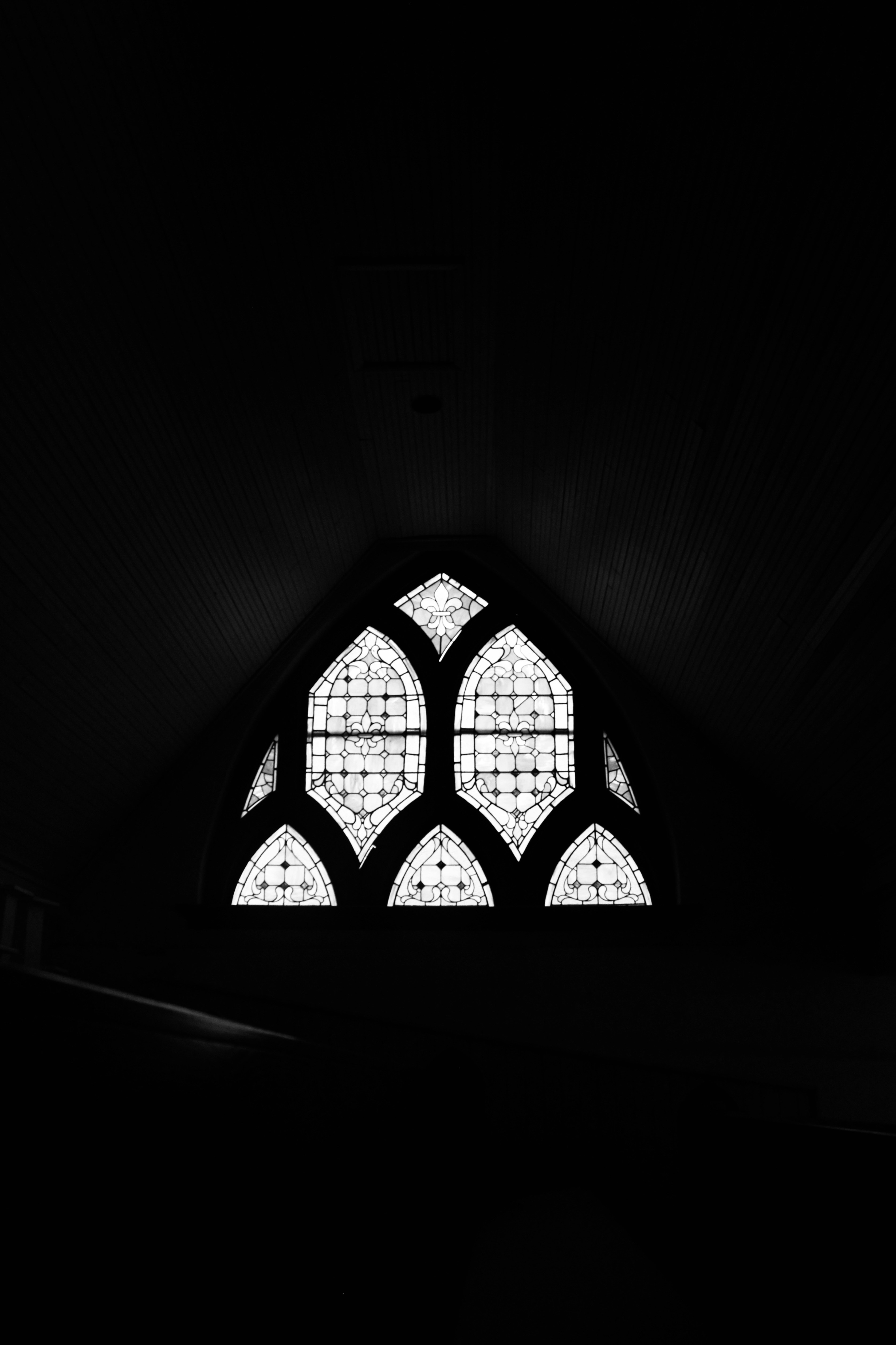 Photo by carissacarterphotography