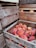 Wooden crates are stacked, filled with ripe peaches. The crates have a rustic appearance, and some are labeled with 'DURGIN' followed by a phone number. The peaches are vibrant with shades of orange and red, nestled snugly within the crates.